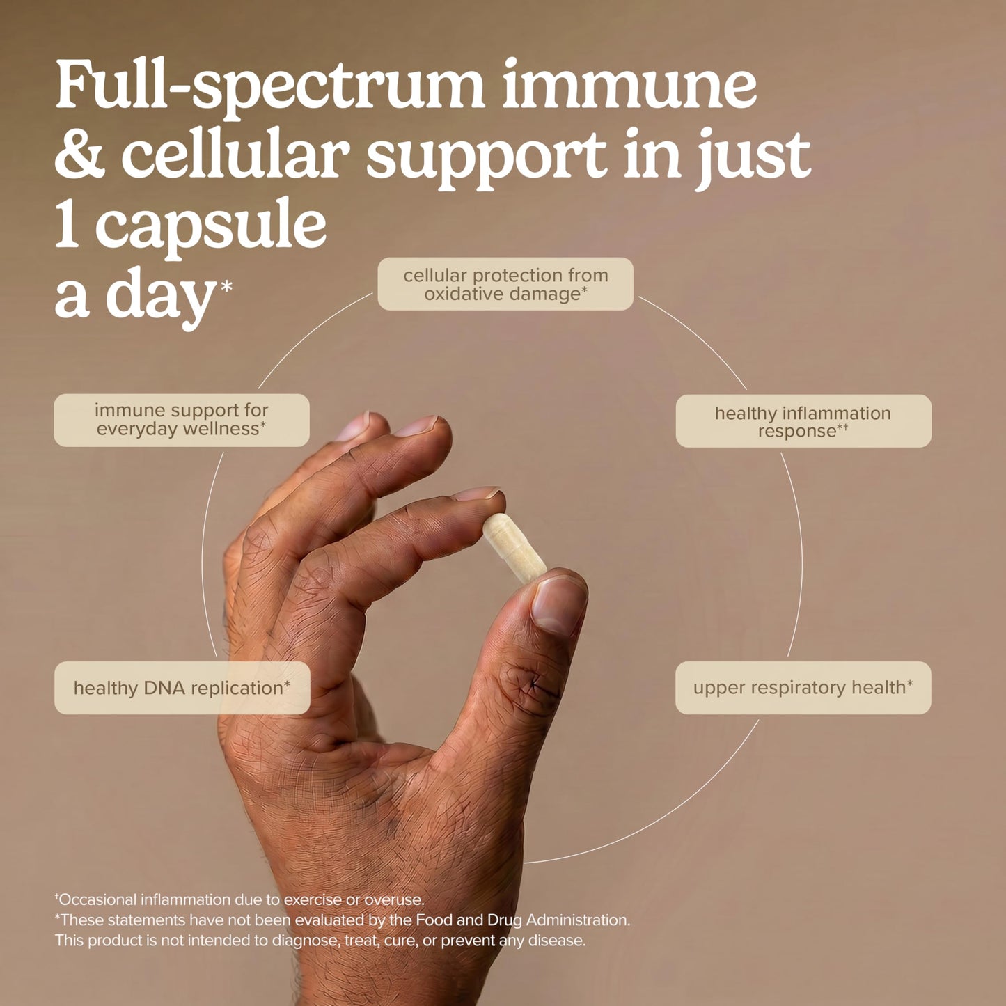Terry Naturally Zinc Plus Selenium Capsules - Respiratory Health, 60 Count