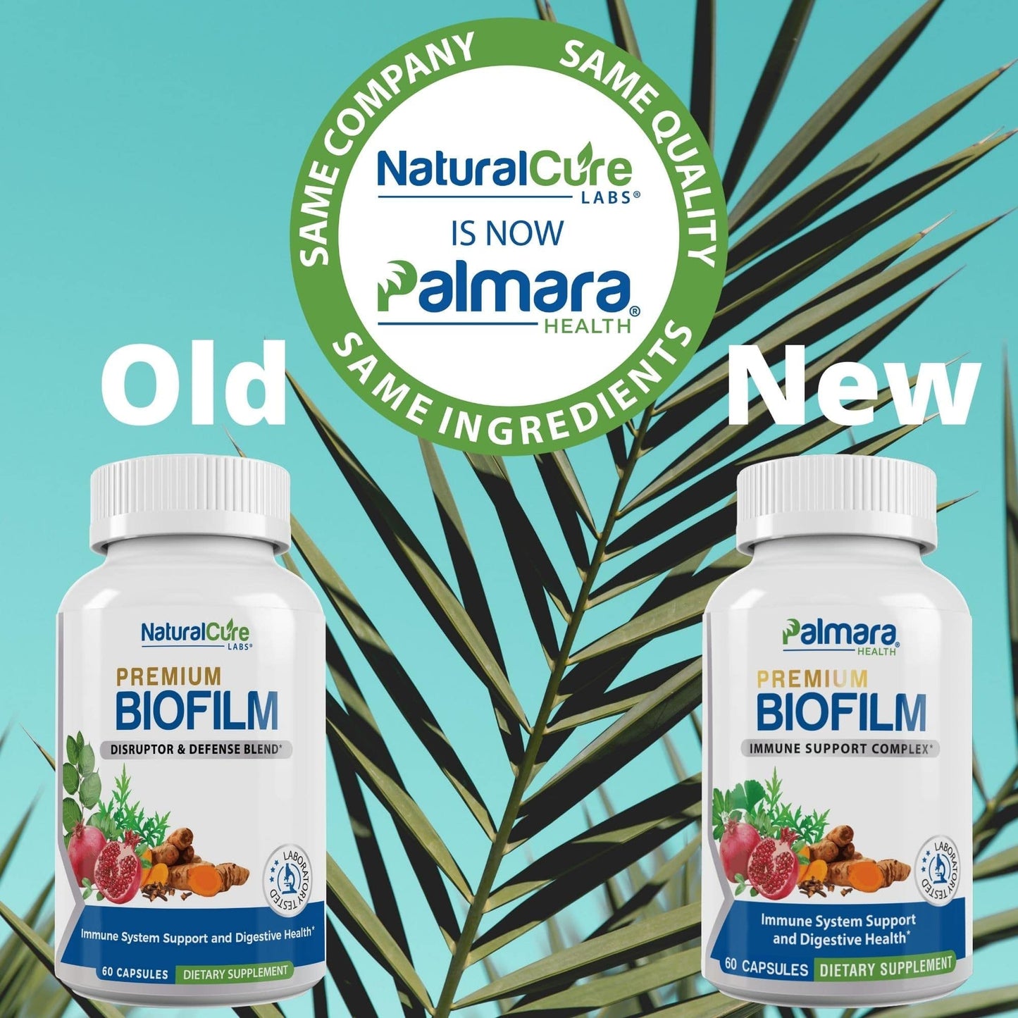 Palmara Health Biofilm Complex Premium Biofilm Formula Botanicals & Herbs Capsule 60 Count