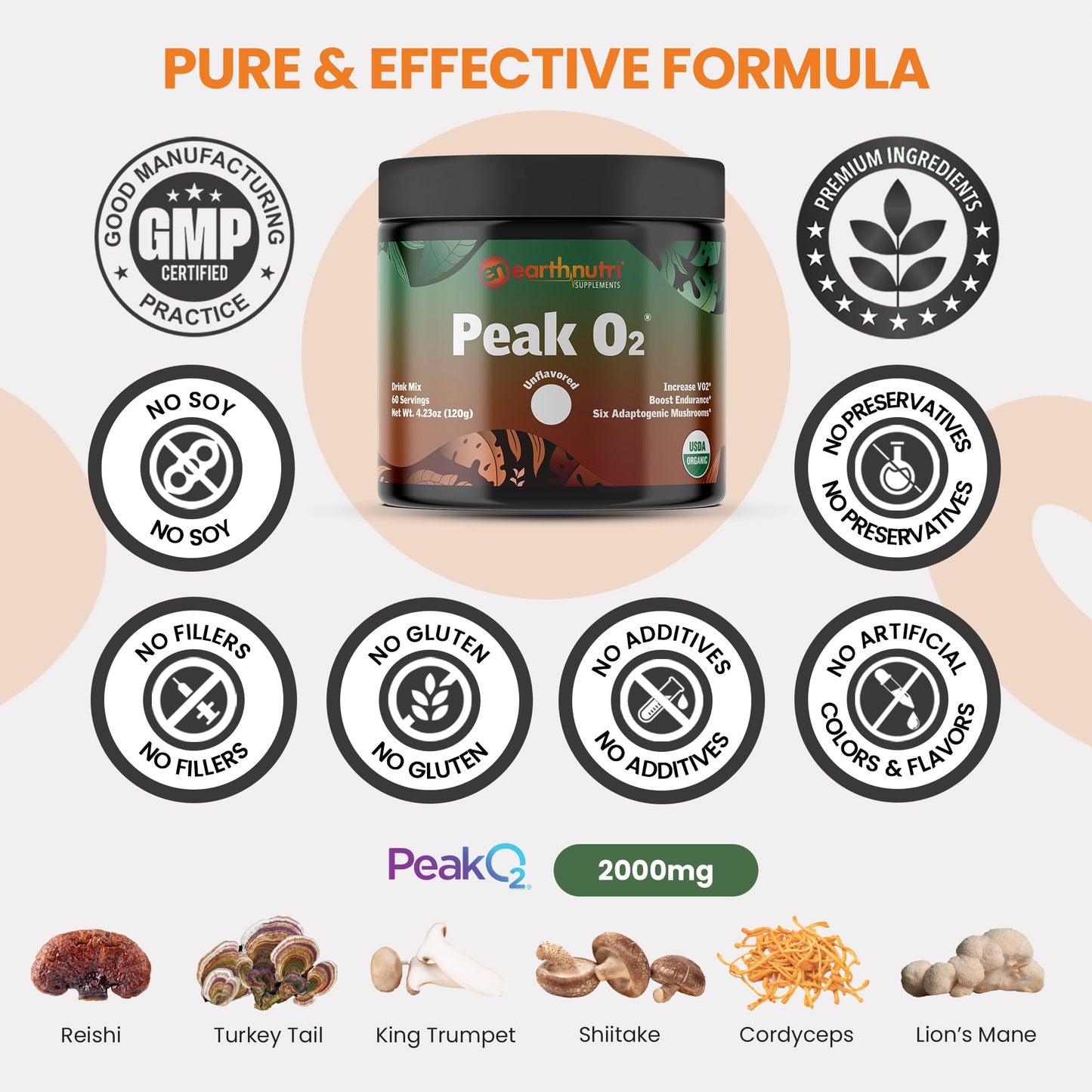 EarthNutri PeakO2 Workout Supplement Powder 4.23 Ounce
