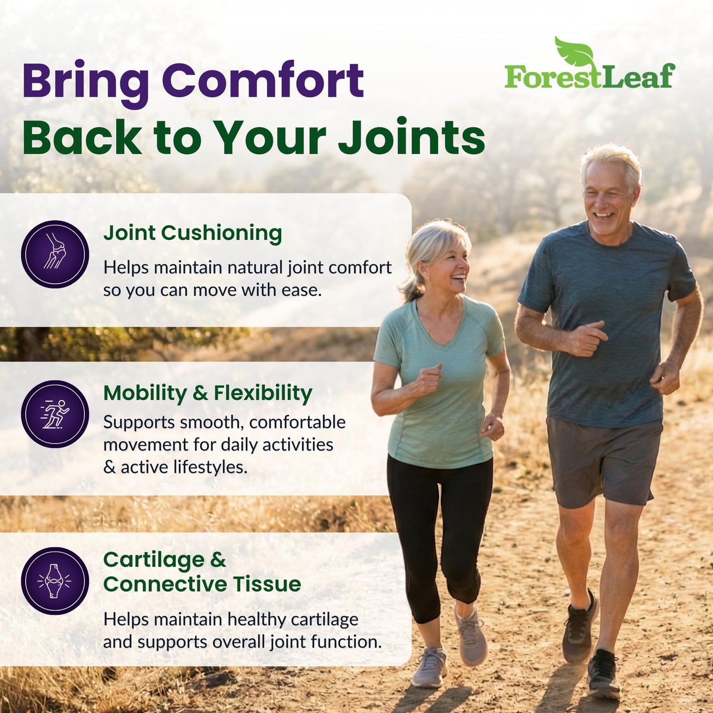 ForestLeaf Glucosamine Chondroitin MSM Joint Supplement Complex 120 Capsules