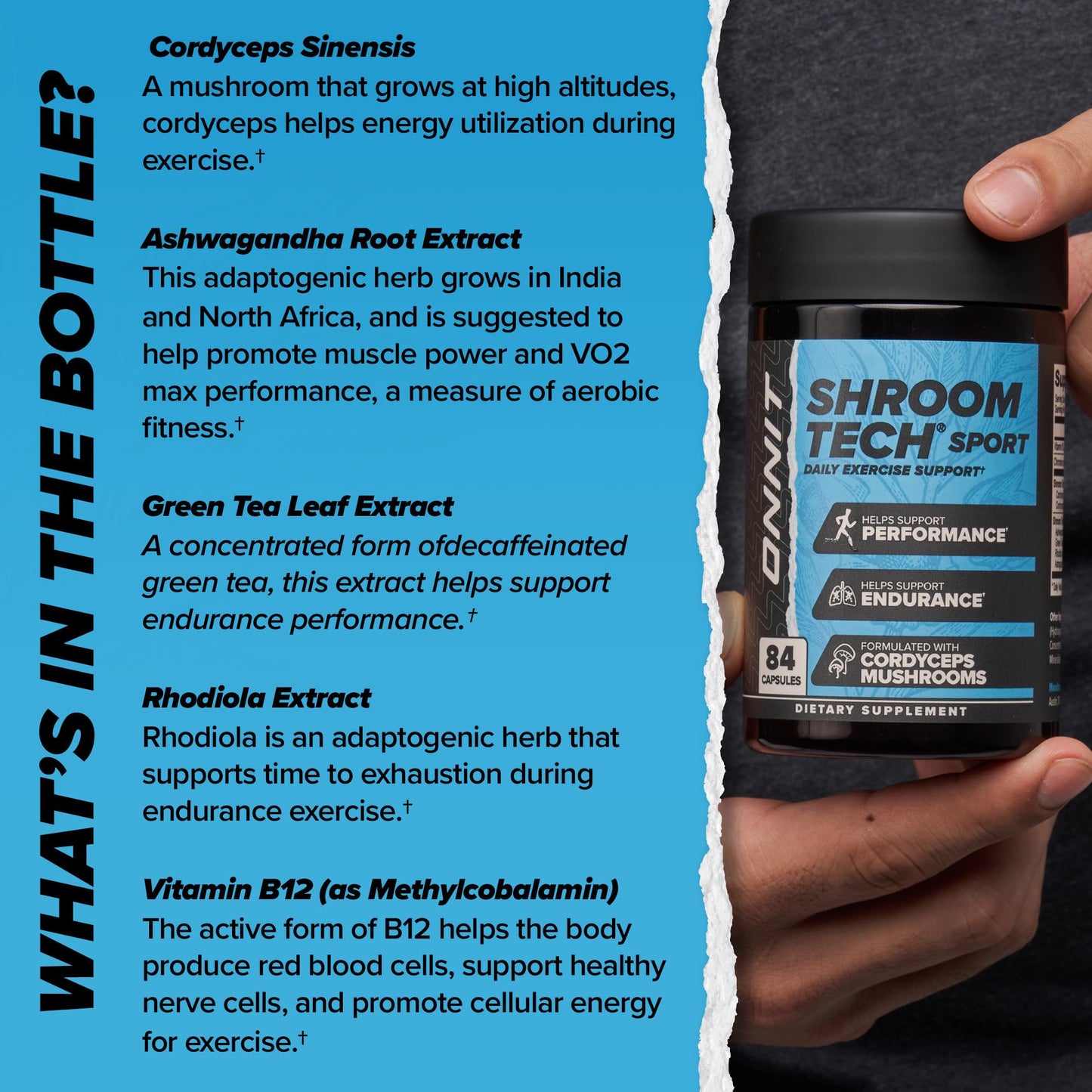 ONNIT Shroom Tech Sport Daily Exercise Support Capsules, Pre Workout Supplement with Cordyceps Mushrooms, Dietary Supplement for Daily Energy Support, 84 Count