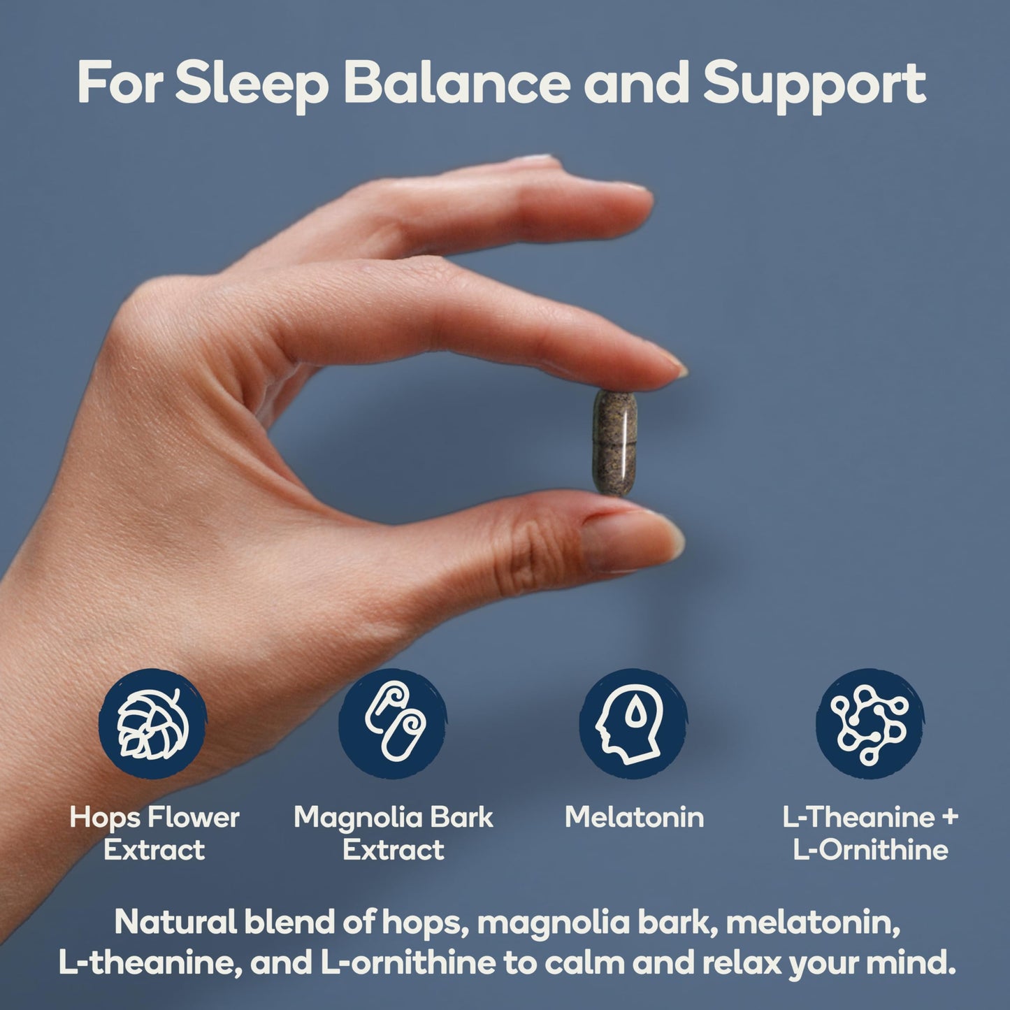 Nedley Health Sleep Natural Sleep Aid Supplement Capsule, 60