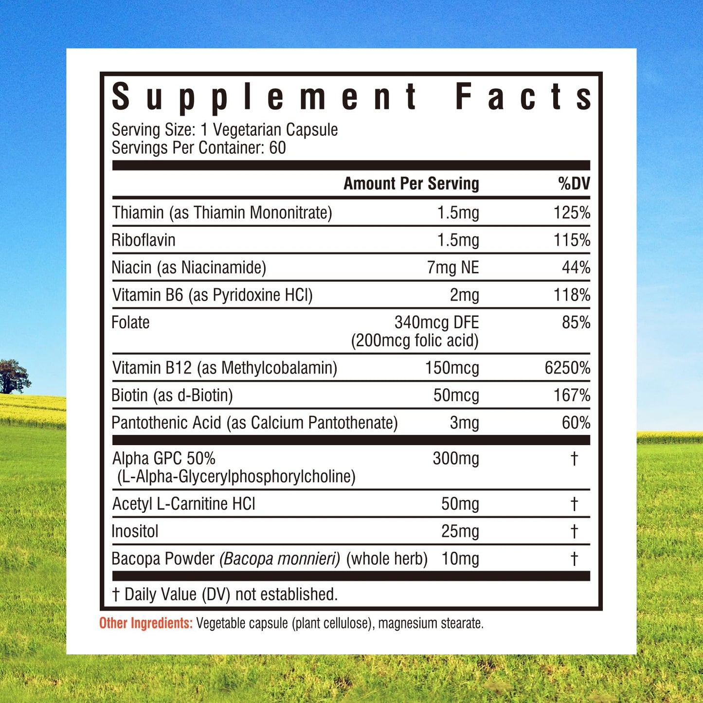 Innate Vitality 12-in-1 Brain Supplement Capsules, 60 Count