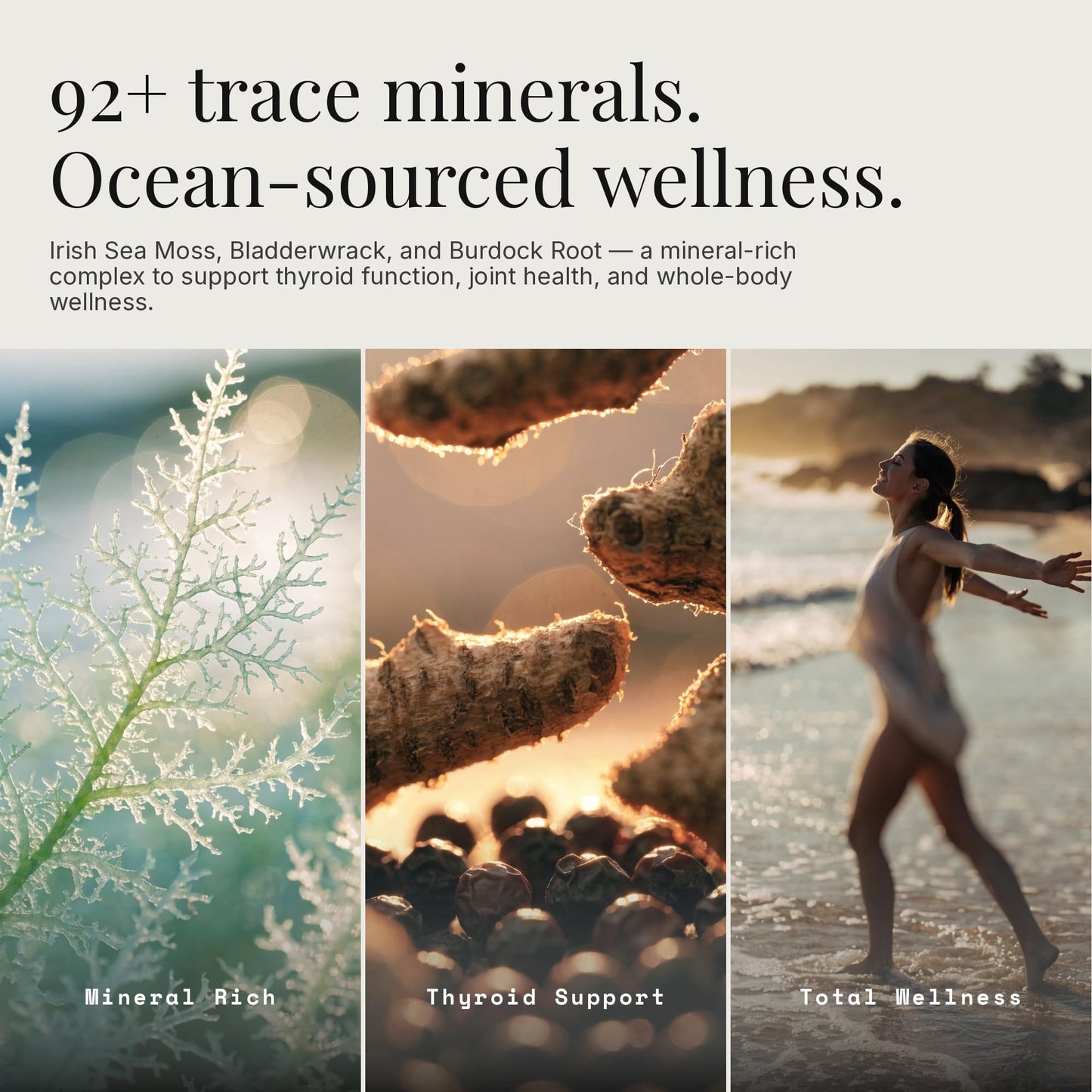Dear Apothecary Organic Seamoss+ - Irish Moss 500mg, Bladderwrack 500mg, Burdock Root 400mg with BioPerine, 60 Capsules