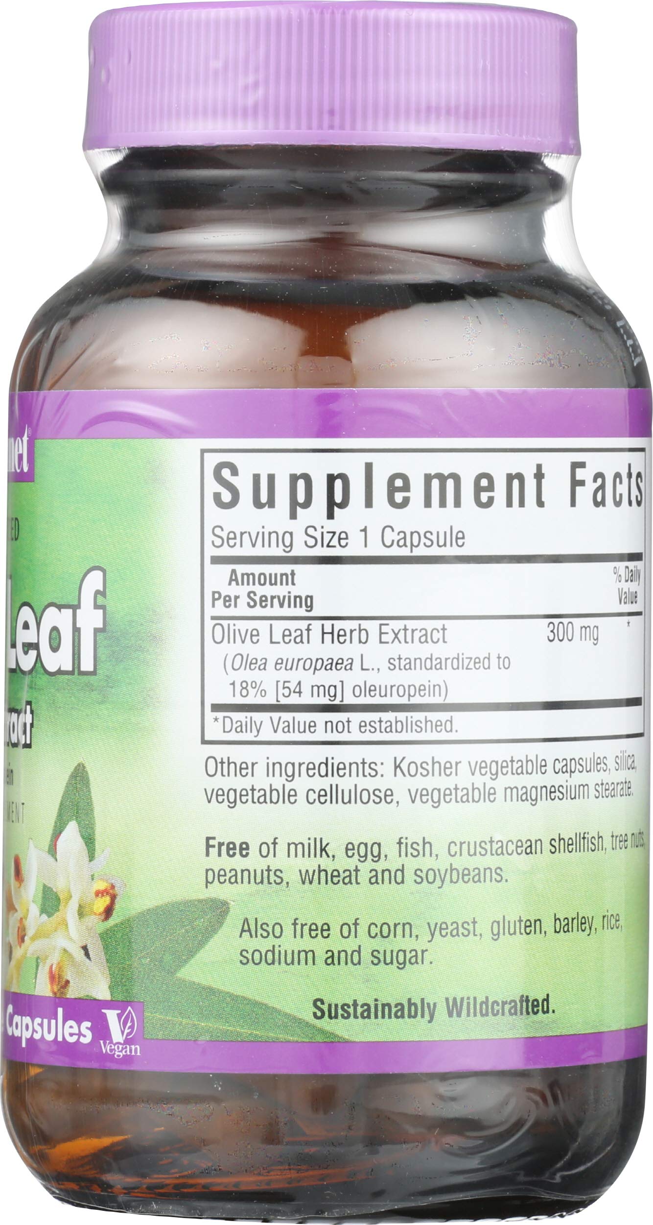 BlueBonnet Olive Leaf Extract Capsules, 60 Capsules