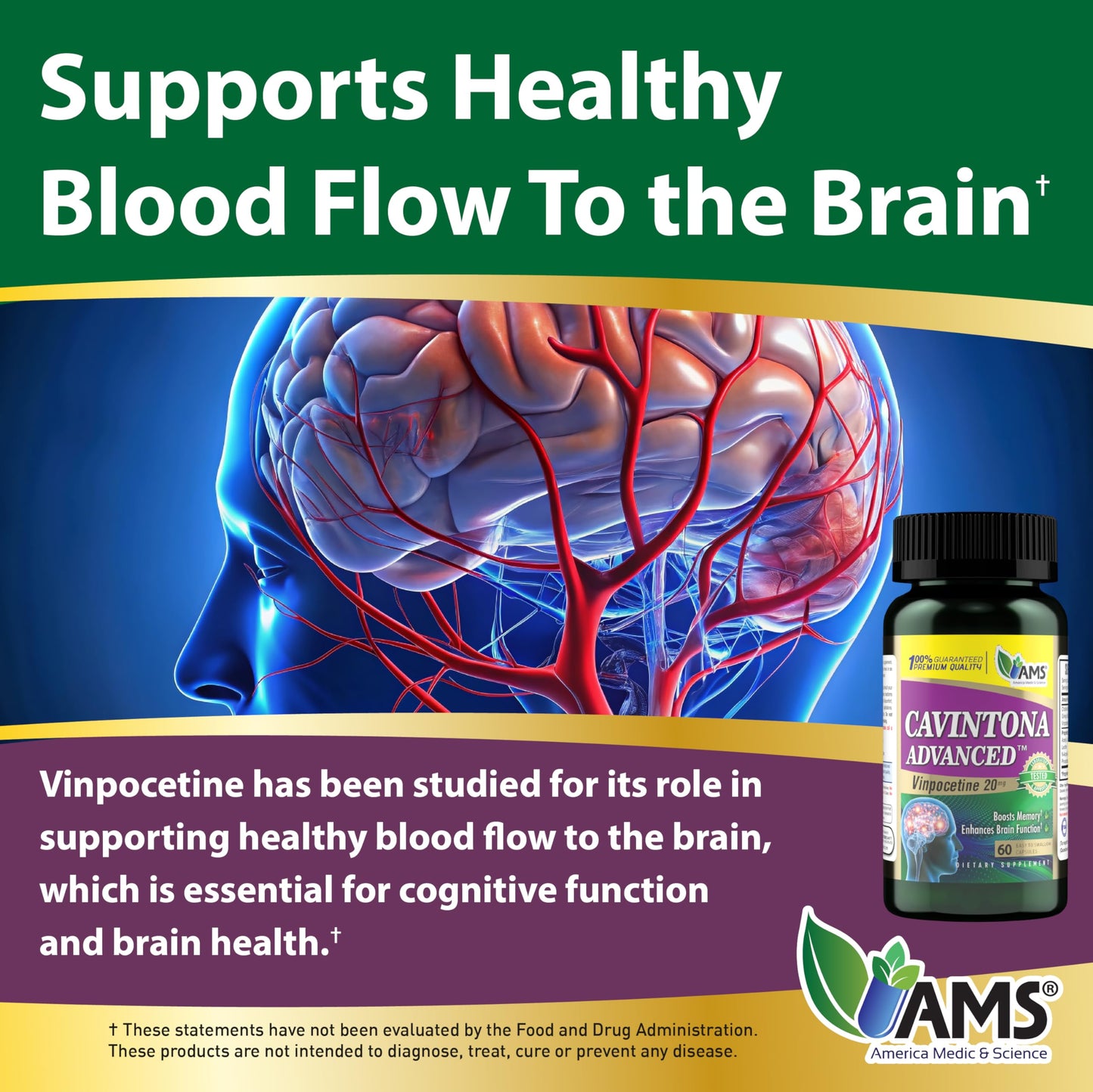 America Medic & Science Cavintona Advanced Supplement – Vinpocetine 20mg for Memory, Recall & Brain Health – Supports Cognitive Function, Focus, Mental Clarity & Blood Flow, Capsule, 60 Count