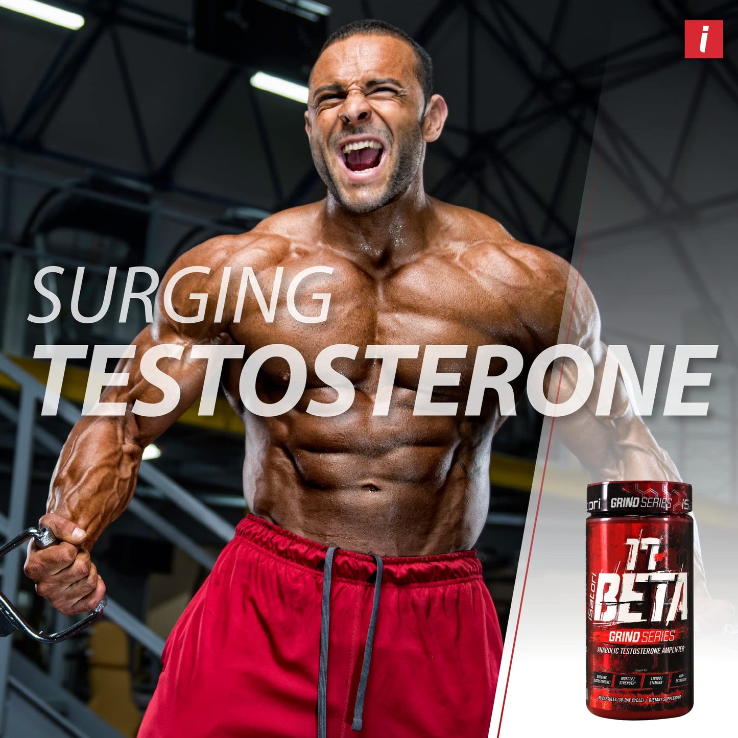 iSatori 17-Beta Anabolic Testosterone Booster Capsules, 90 Count