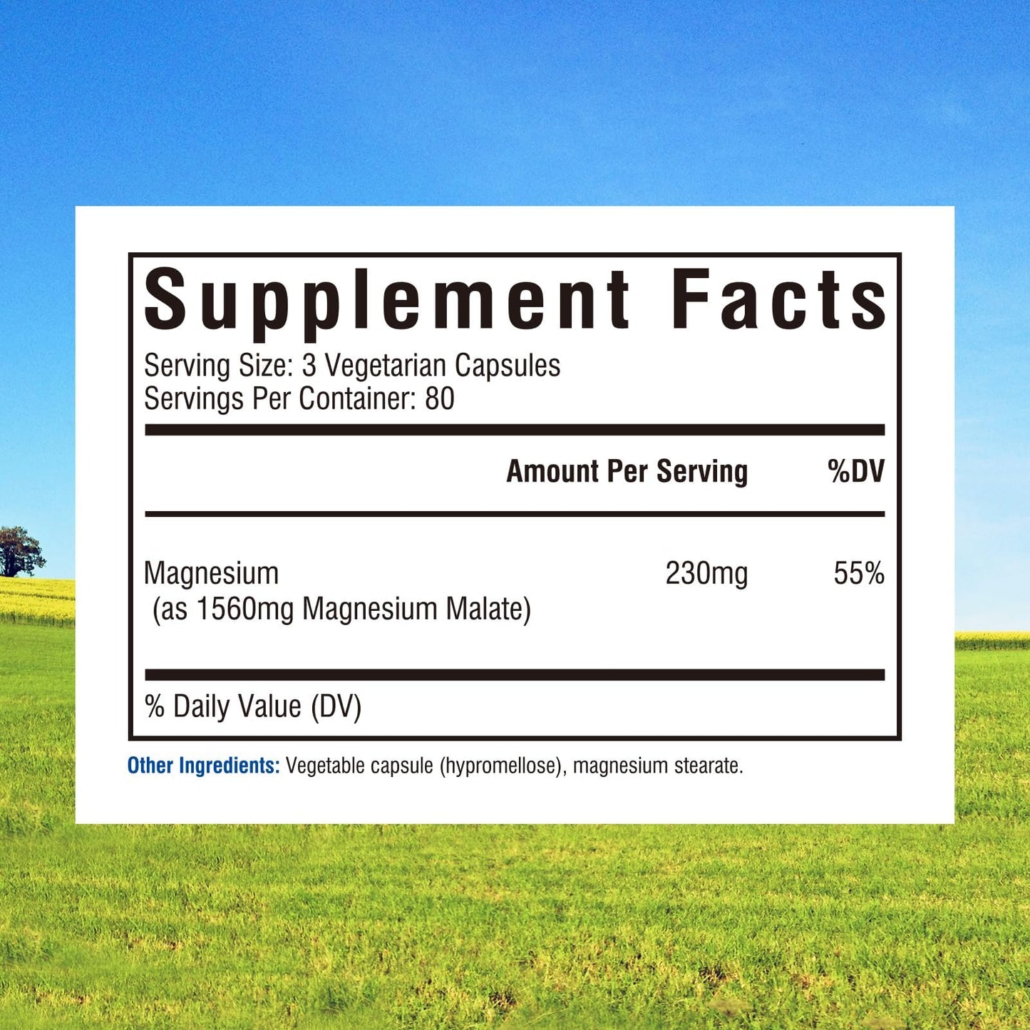 Innate Vitality Magnesium Malate Capsule, 240 Capsules