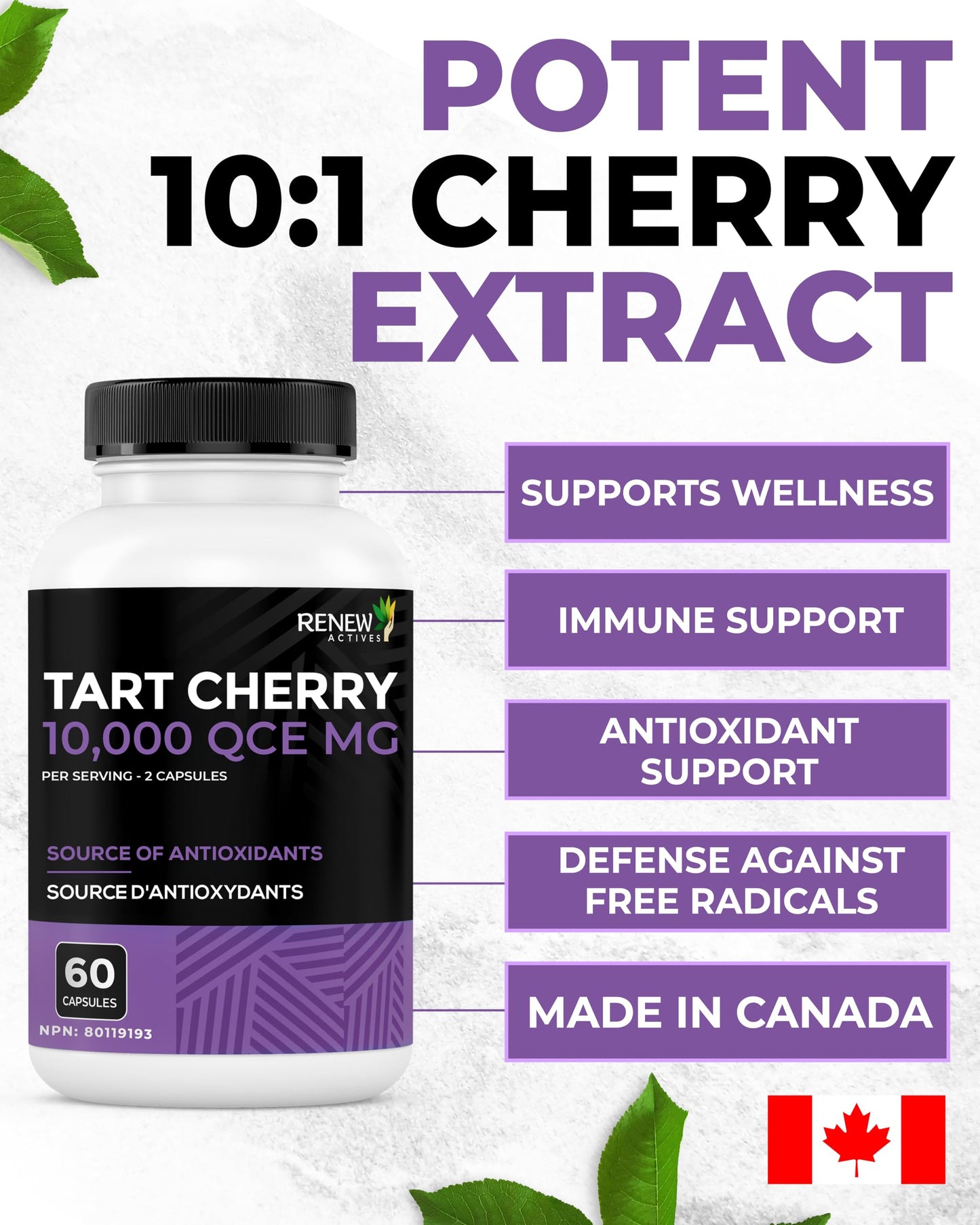 Renew Actives Tart Cherry Extra 500mg per 2 Capsules Capsule 60 Count