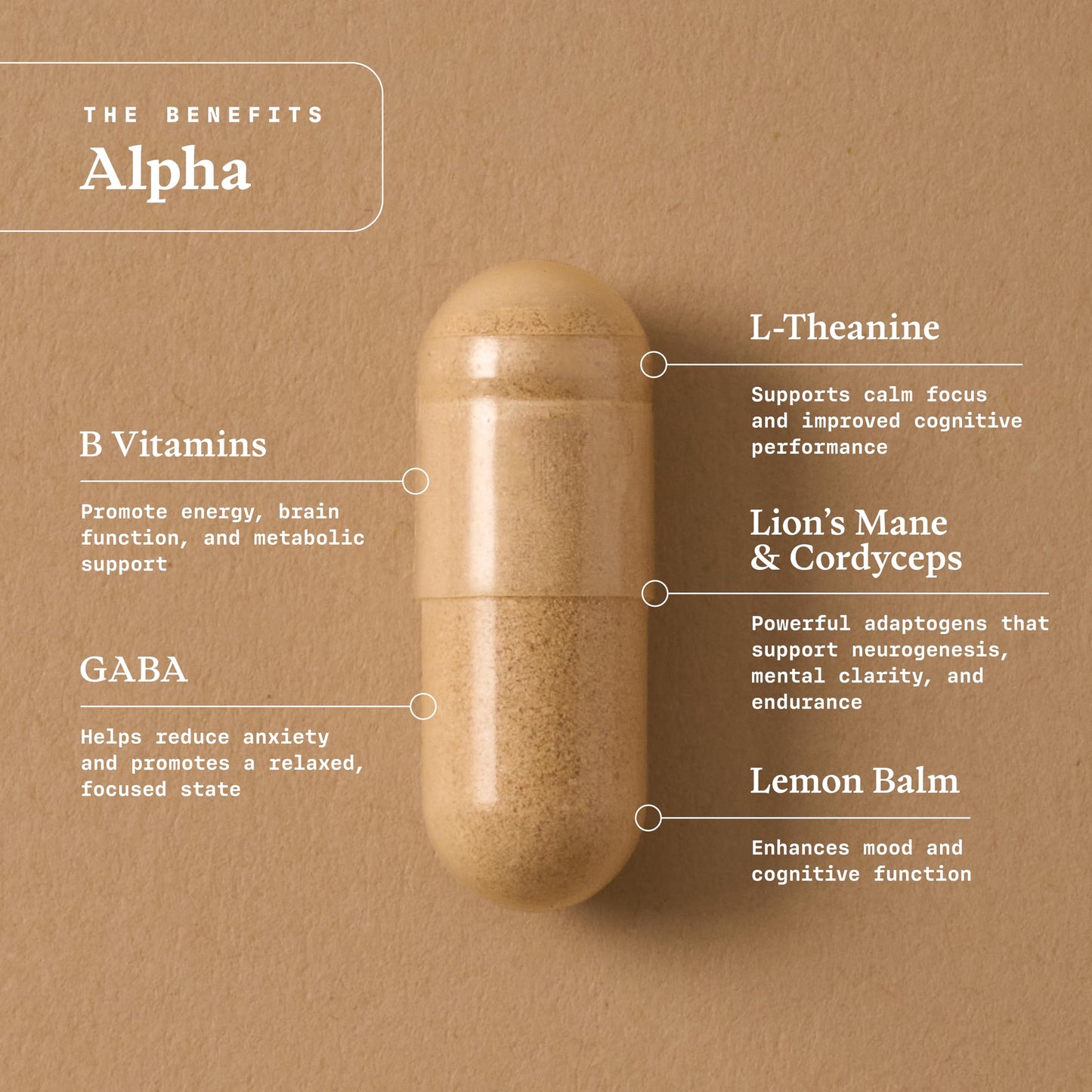 Ultra Life Sport Alpha Nootropic Capsules, 1 Count