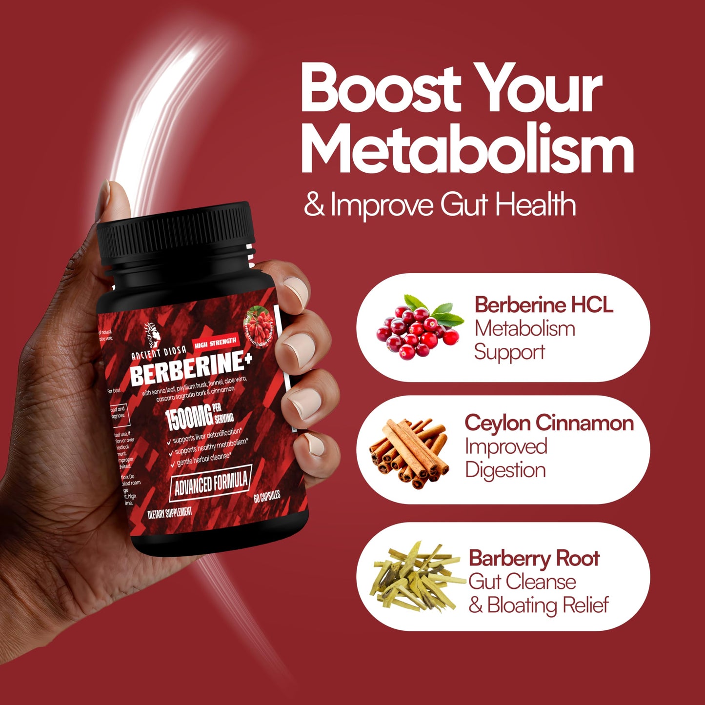 ANCIENT DIOSA Berberine Supplement Capsule, 60 Capsules
