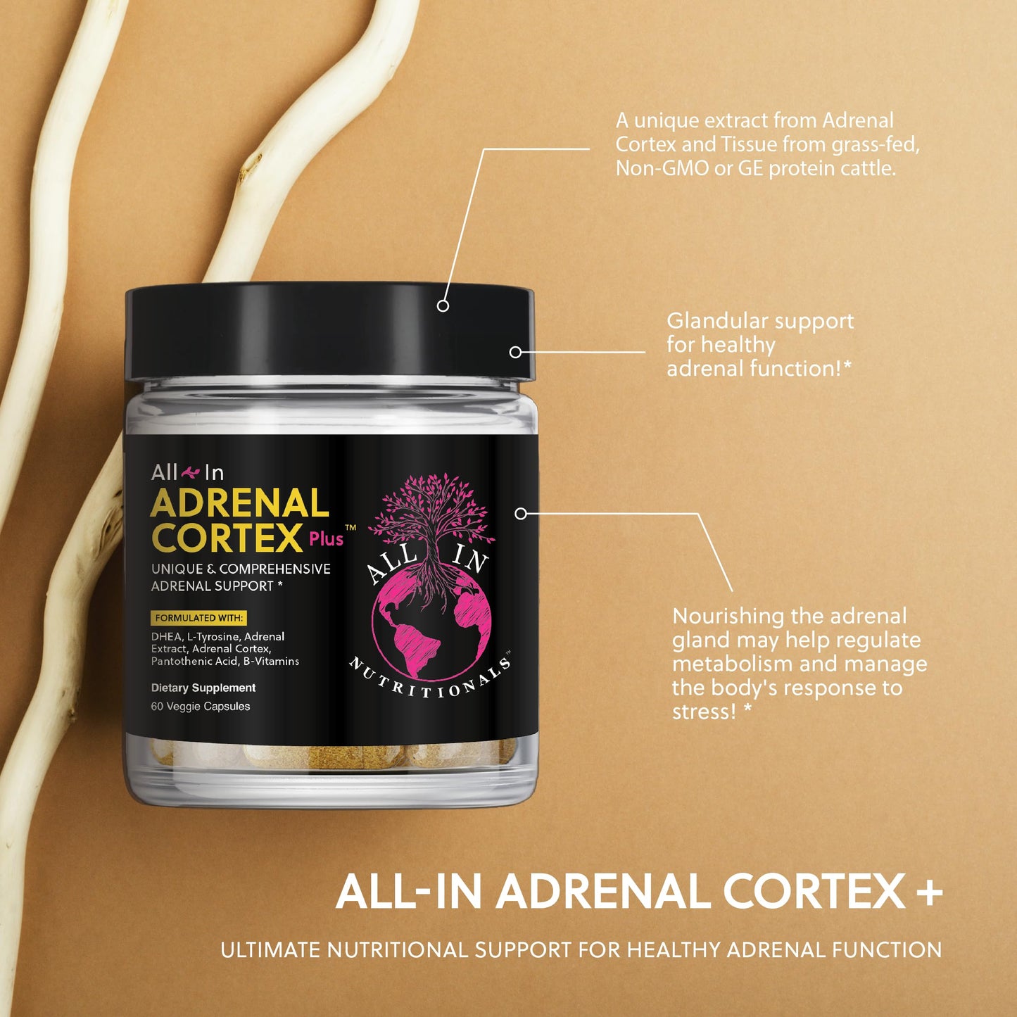 All In Nutritionals Adrenal Cortex+ Capsule 60 Count