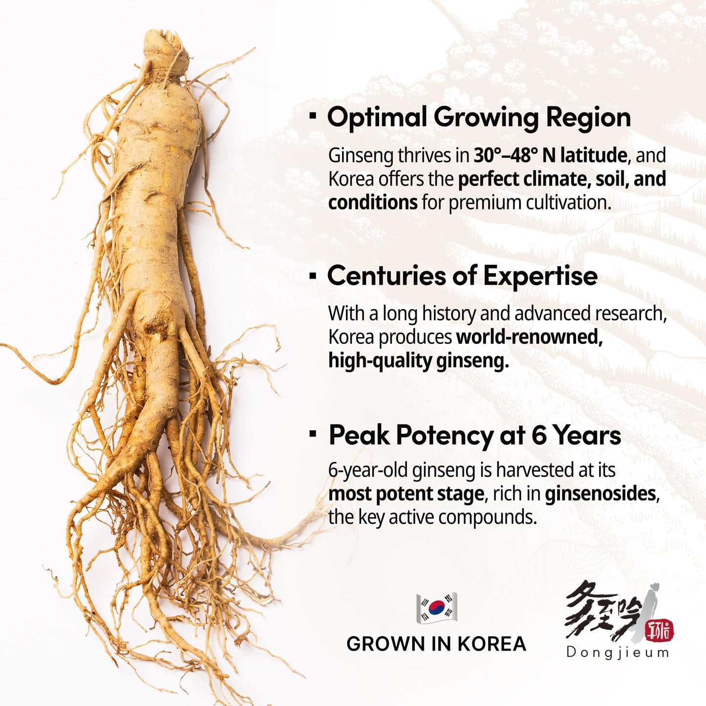 Dongjieum Korean Red Ginseng (6-Year Root) Enhanced Ginsenoside Capsule, 120 Count