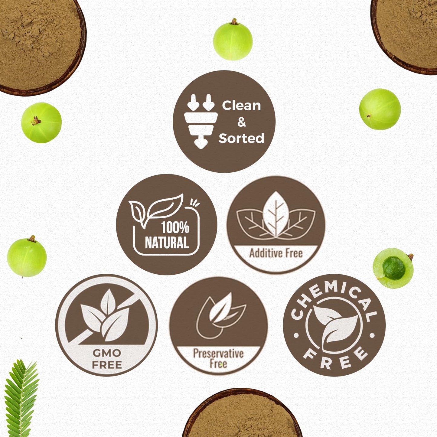 CARMEL ORGANICS Amla/Amlaki Emblica officinalis Fruit Powder, 8 Ounces