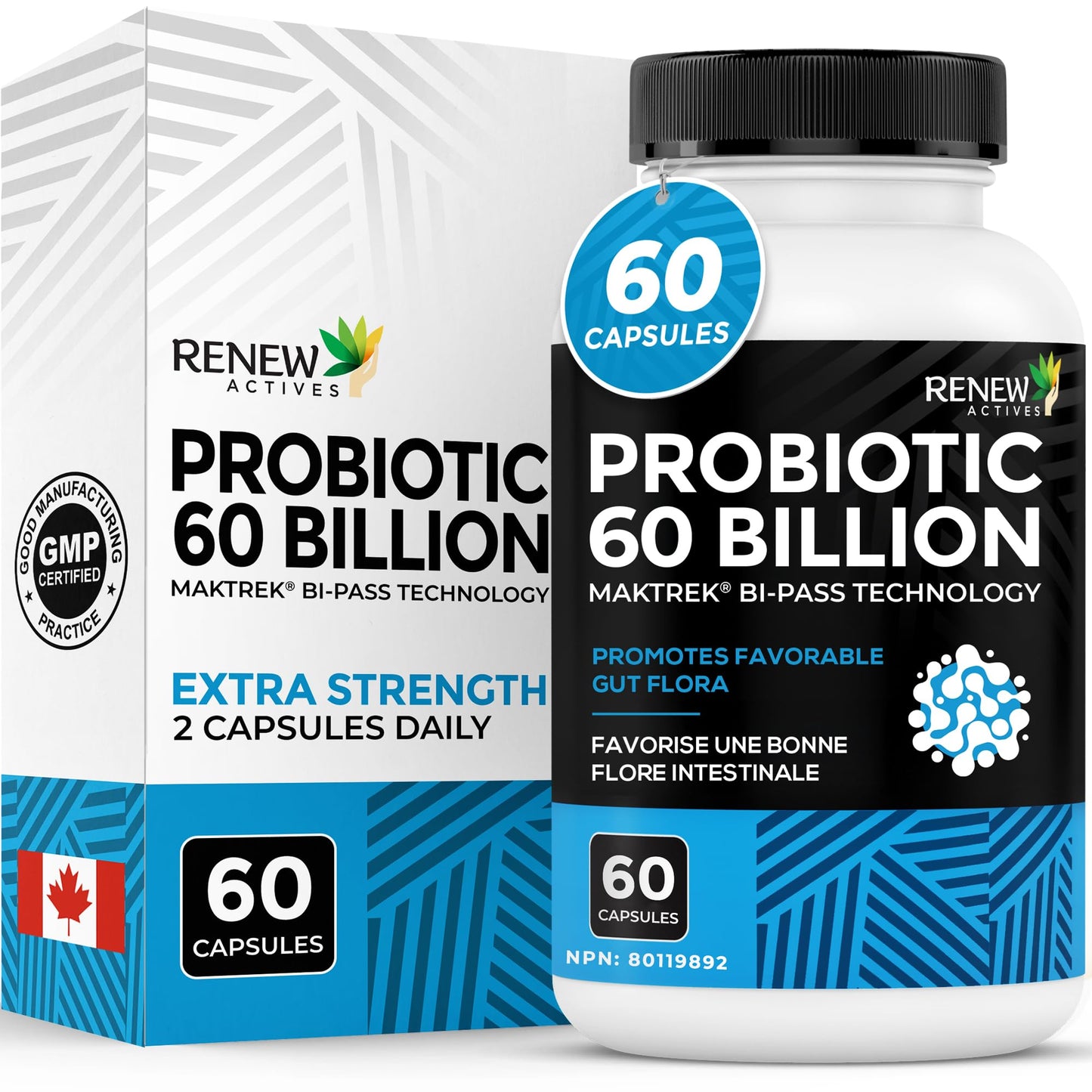 Renew Actives Probiotic Supplement for Digestive Health Capsule, 60 Capsules