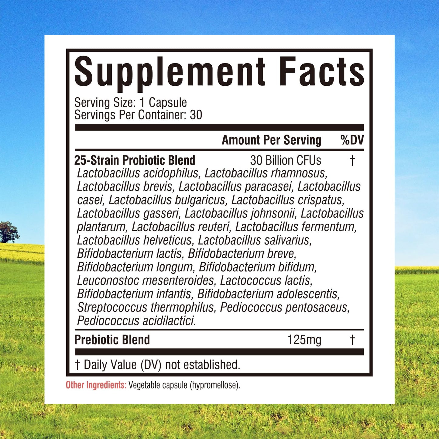 Innate Vitality Daily Probiotics for Women & Men, 30 Billion CFU of 25 Strains, Prebiotics, Delayed Release, 30 Capsules