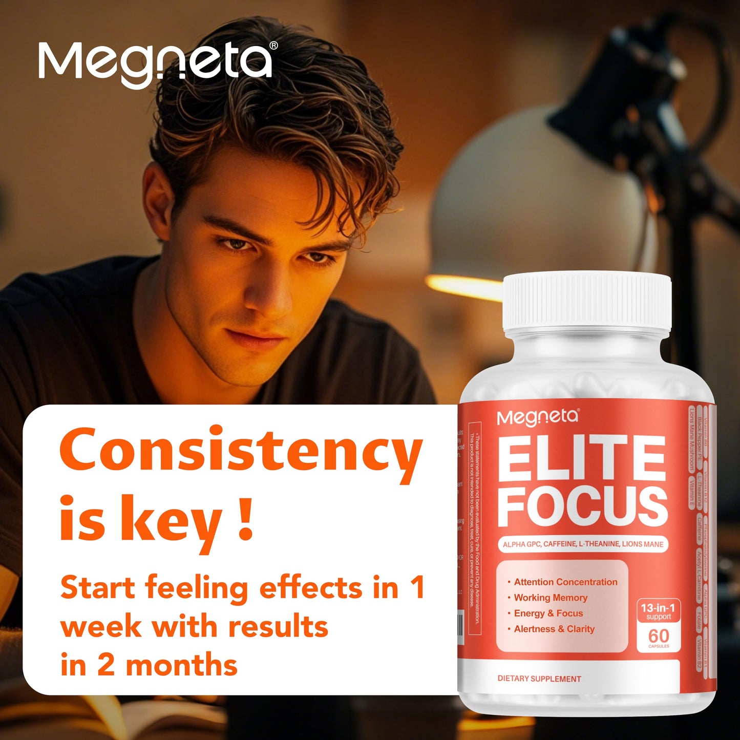 MEGNETA Elite Focus Premium Nootropic Supplement with Multi-Vitamin & L-Theanine for Cognitive Support, 60 Capsules