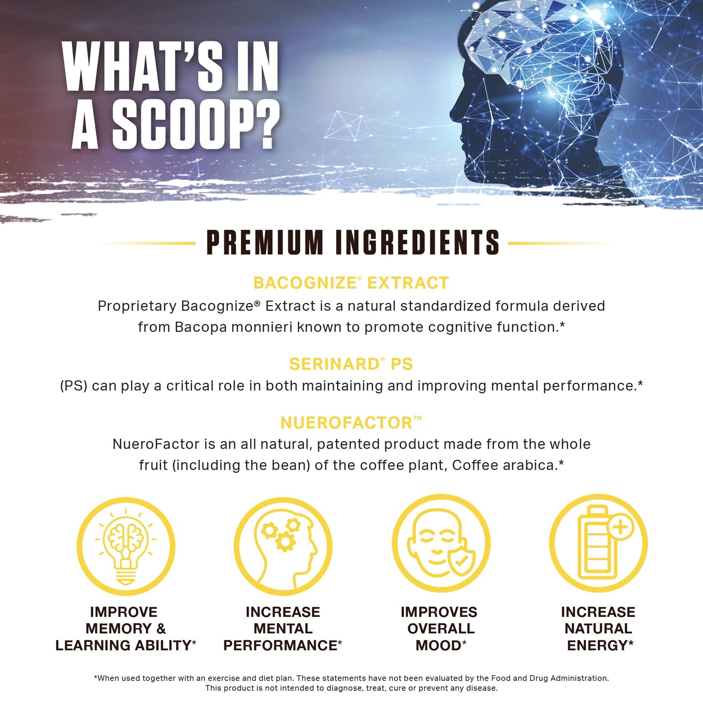 Ambrosia Mental Jewels Nootropic Brain Supplement Powder, 6.35 Ounce