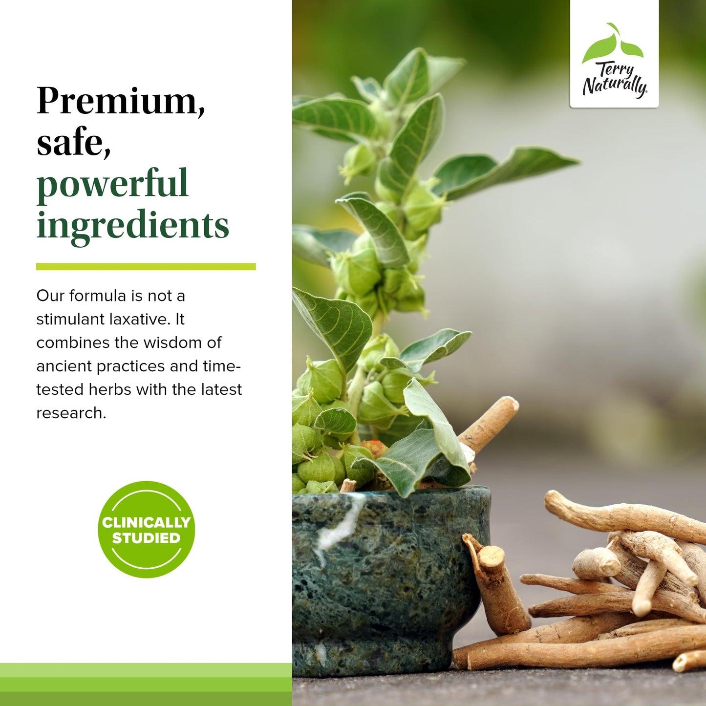 Terry Naturally Ayurvedic Digestive Formula Capsule, 60 Capsules