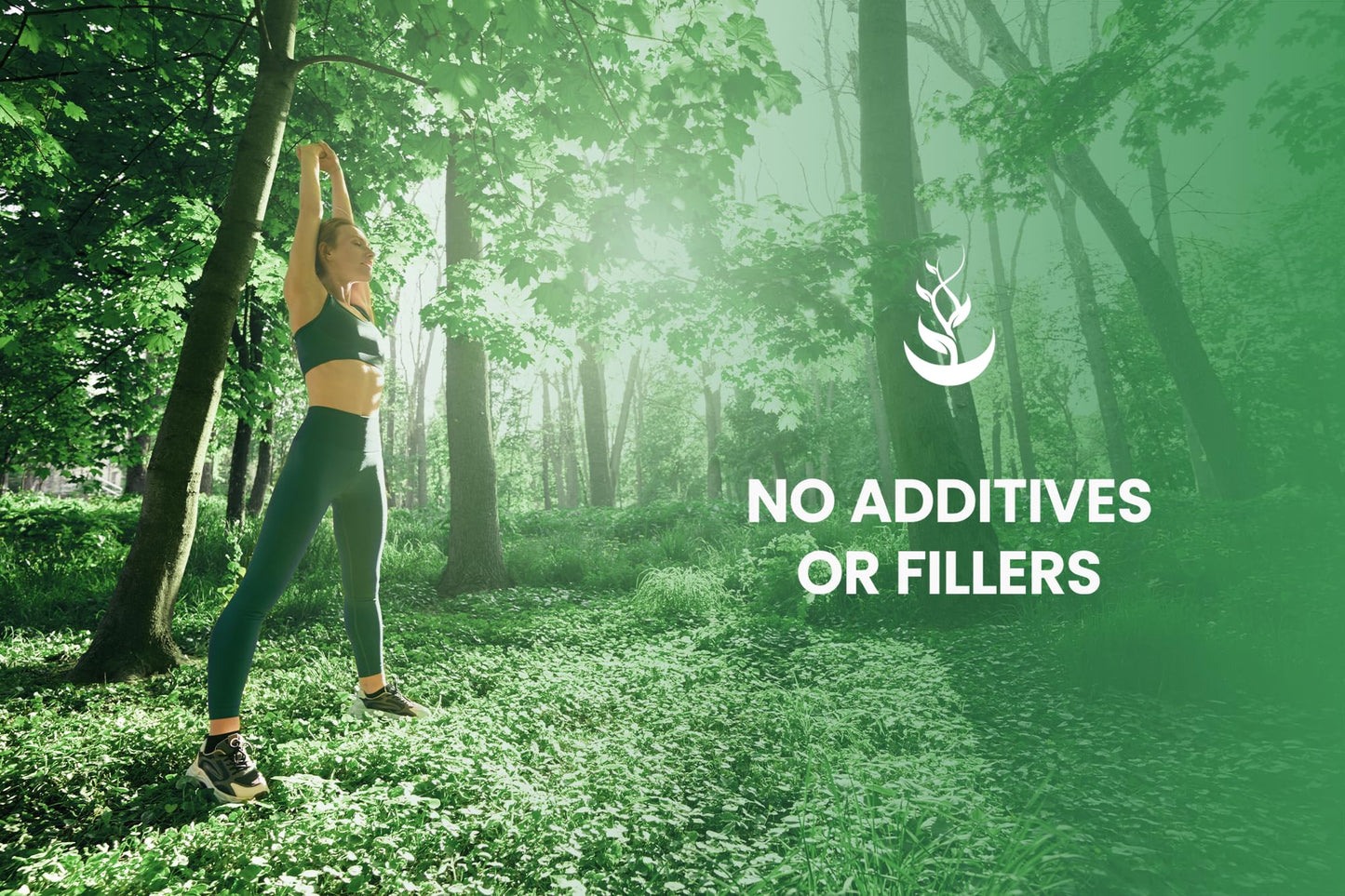 PURE ORIGINAL INGREDIENTS White Mulberry 365 Capsules
