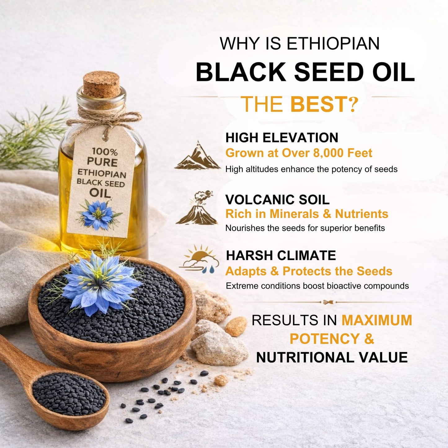HEQIFU Ethiopian Black Seed Oil Softgel 60 Count
