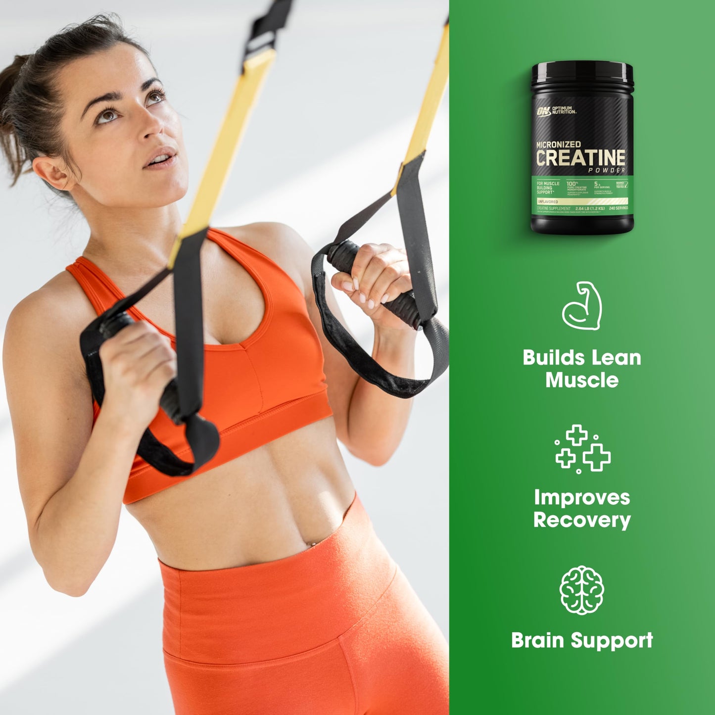 Optimum Nutrition Micronized Creatine Monohydrate Powder, 240 Servings