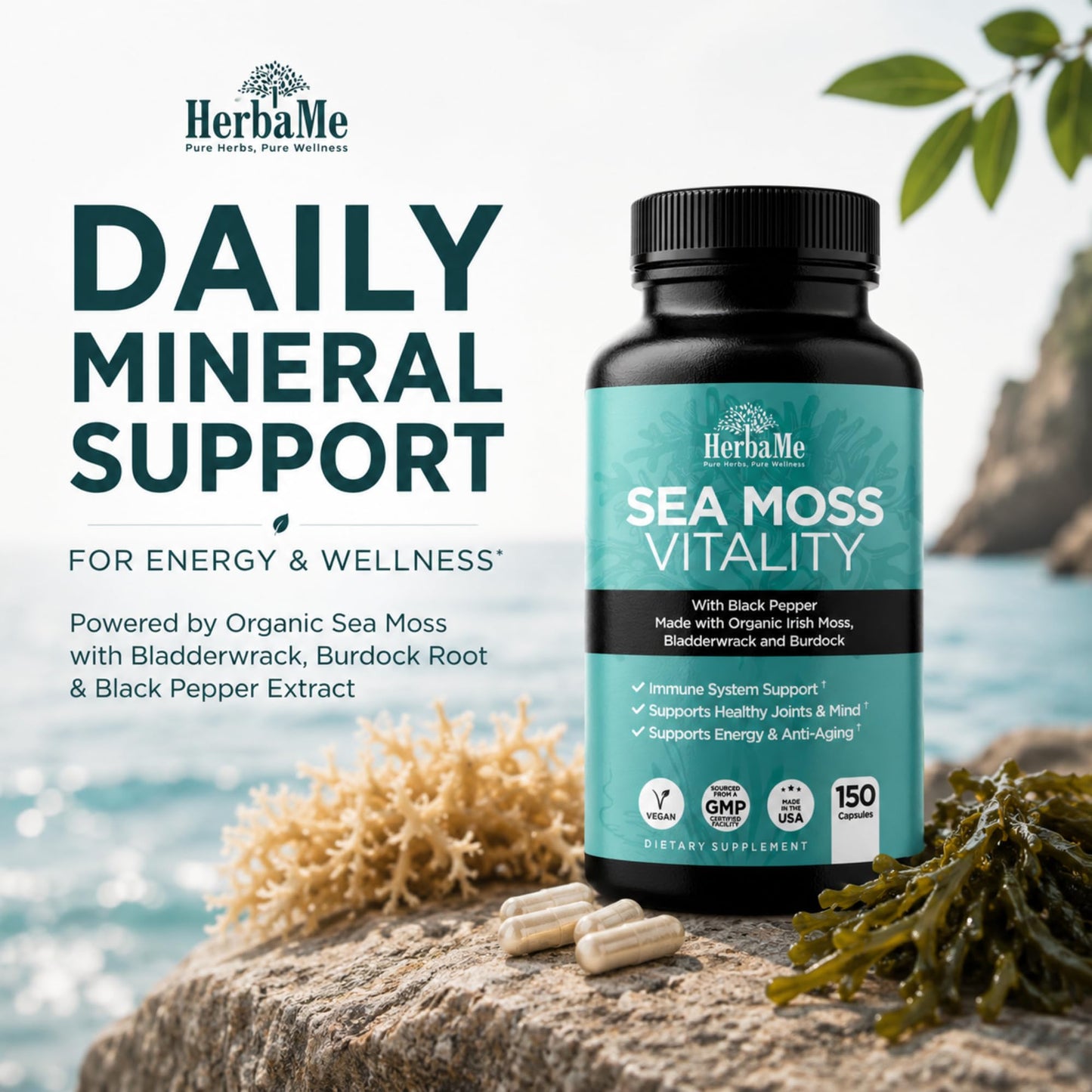 HerbaMe Organic Irish Sea Moss Supplement with Bladderwrack & Burdock, 150 Capsules