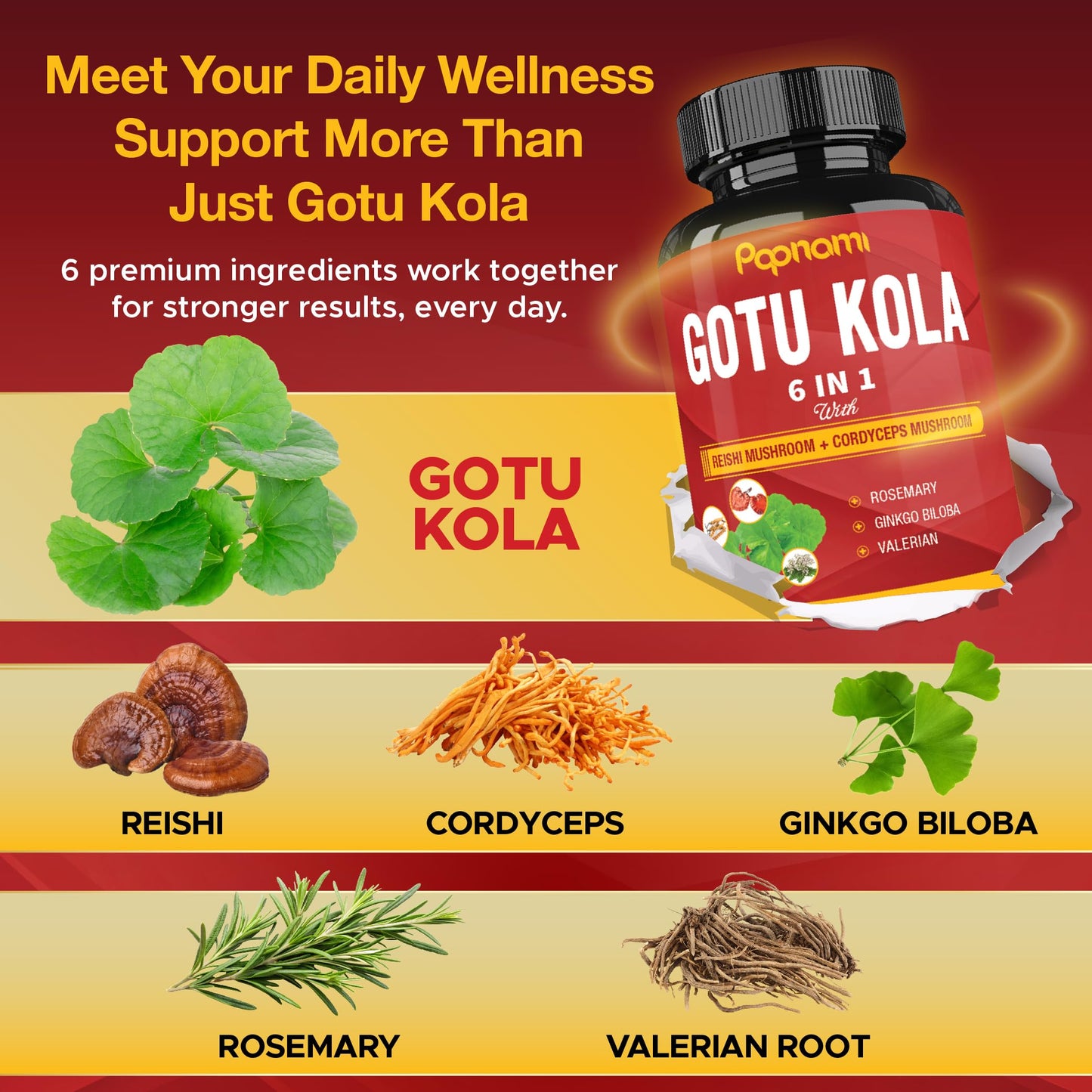 Papnami Organic Gotu Kola Extract Capsules, 90 Count