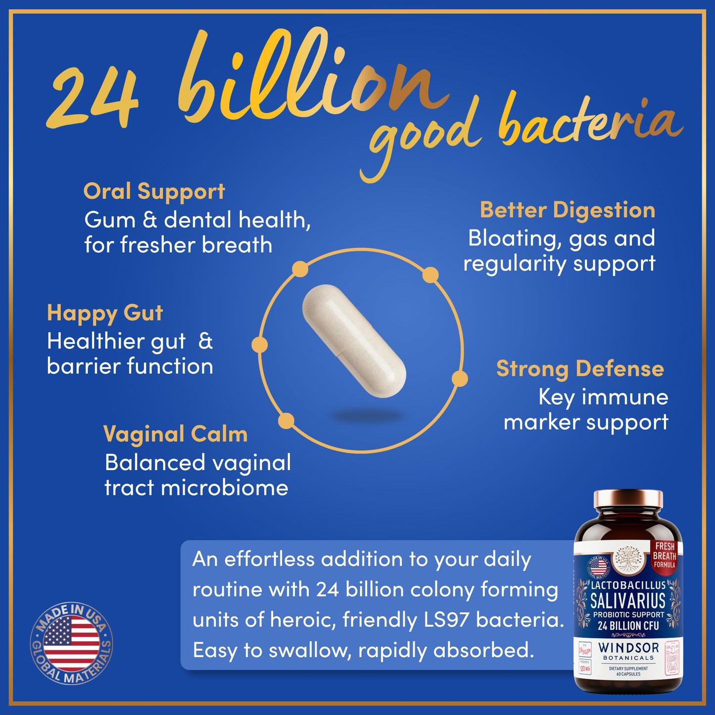 WINDSOR BOTANICALS Lactobacillus Salivarius Probiotic Capsule 24bn CFU, 60 Count