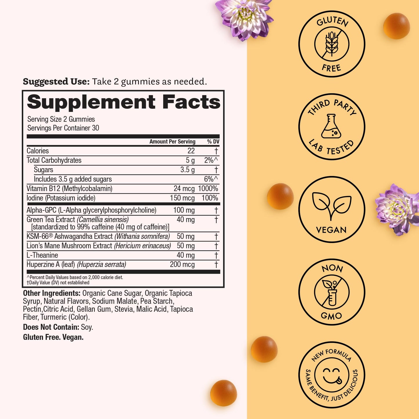 Winged Wellness Rise Up, Energy & Focus Gummies for Women 60 Count