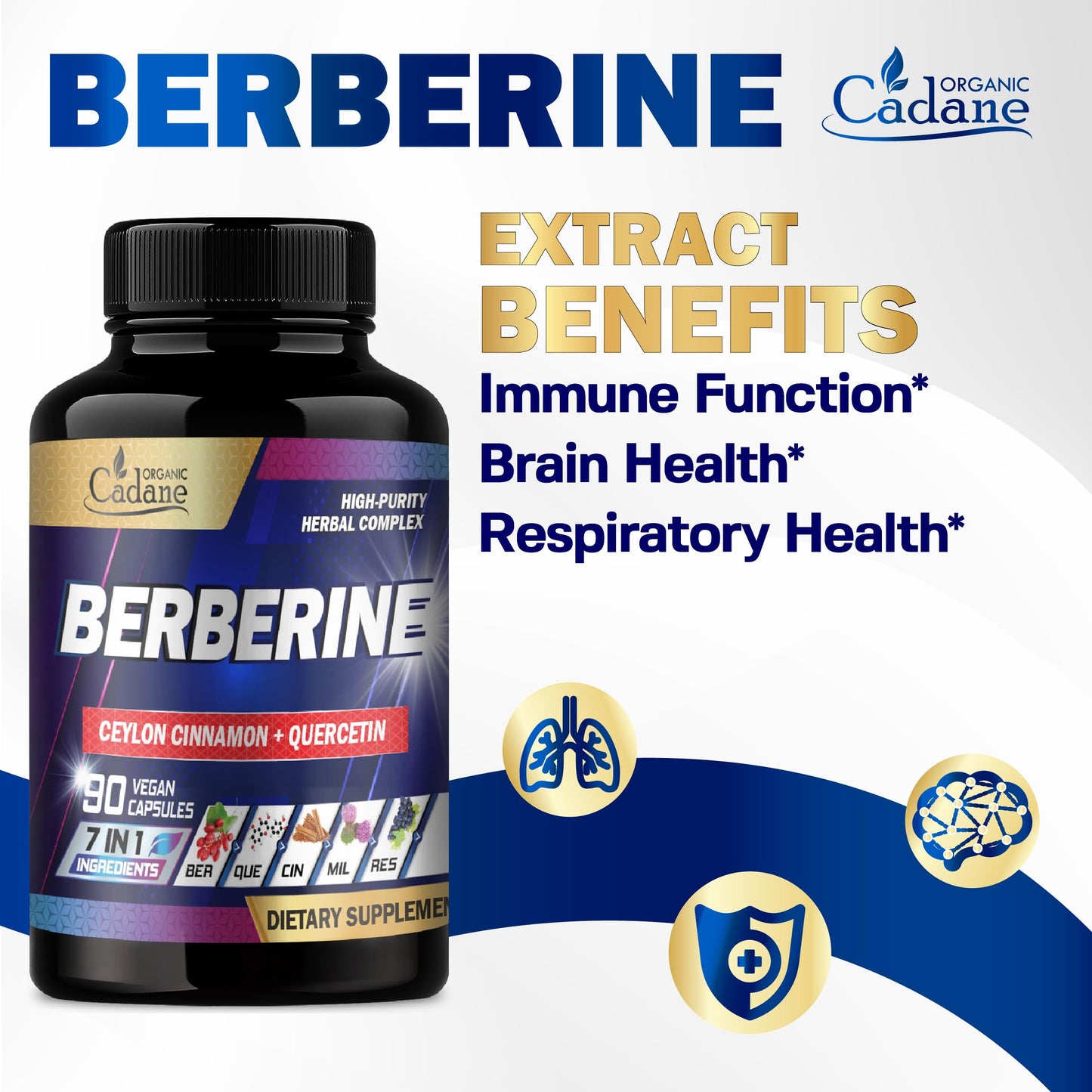 Organic Cadane Berberine Supplement Capsules, 90 Count
