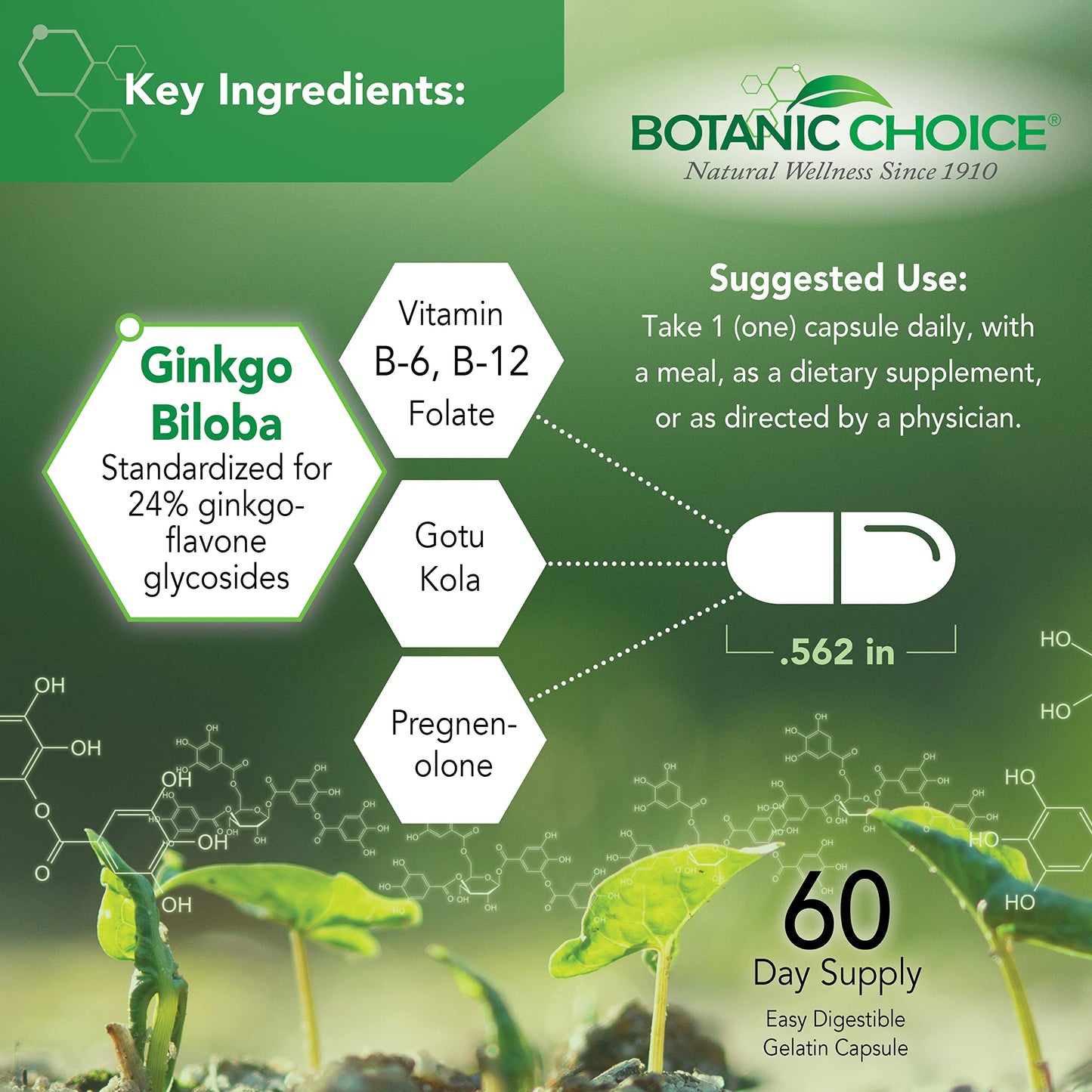 Botanic Choice Advanced Memory Complex - Mood Support Brain Supplements for Memory and Focus - Proprietary Herbal Blend with Ginkgo Biloba Capsules, 60 Count