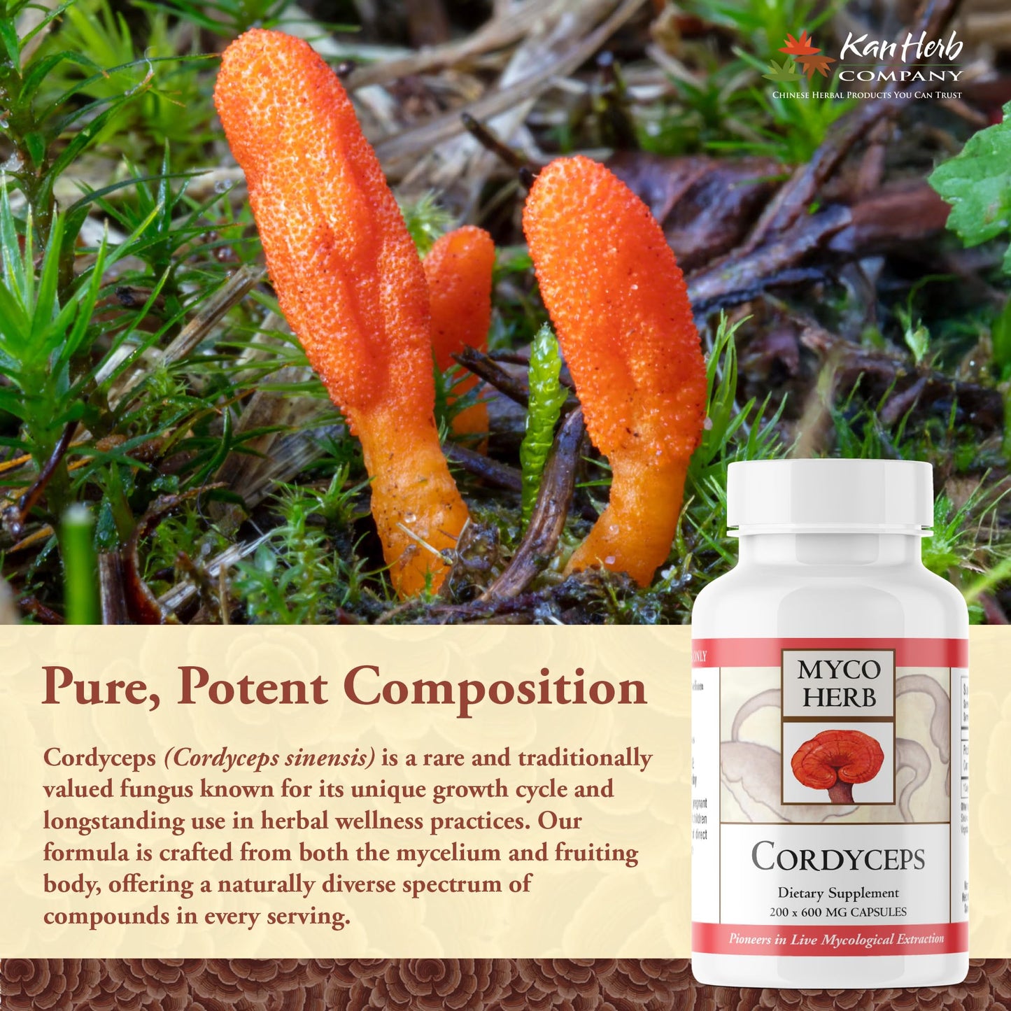 Kan Herbs Cordyceps Full-Spectrum Extract Tablet 120 Tablets