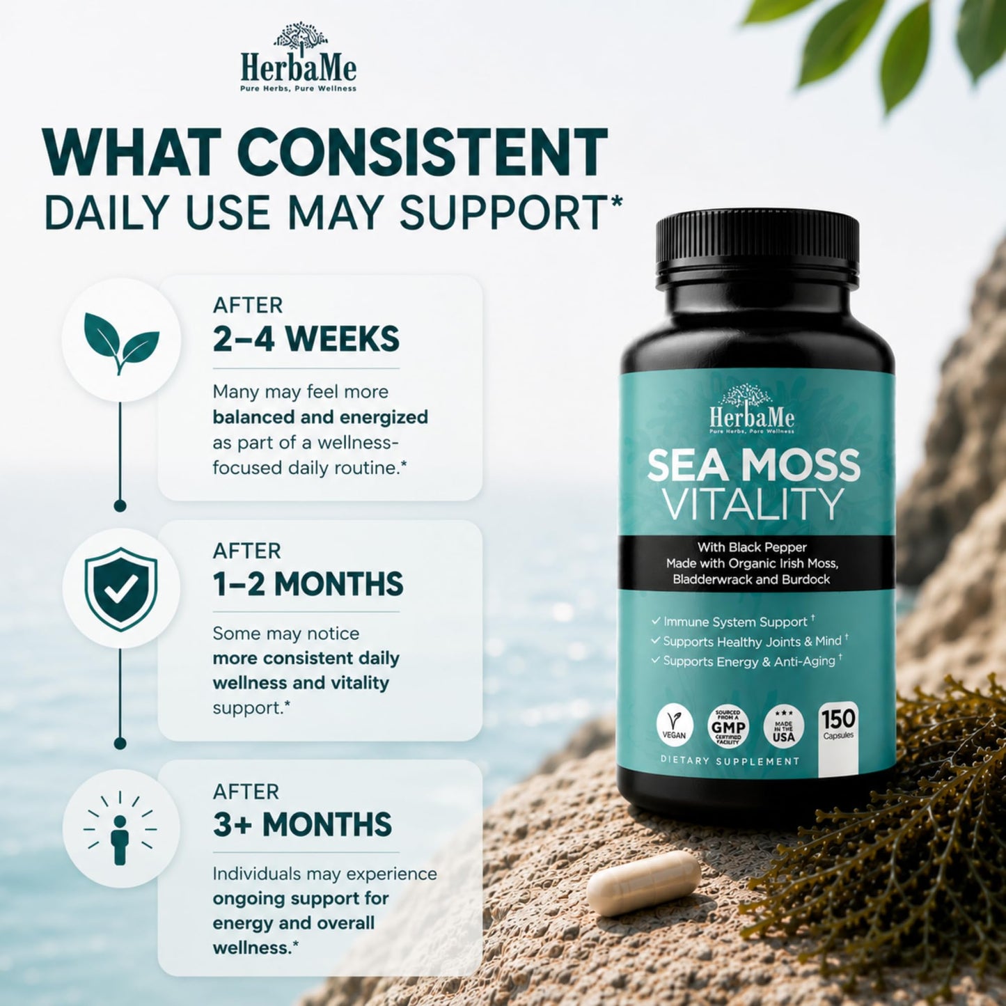 HerbaMe Organic Irish Sea Moss Supplement with Bladderwrack & Burdock, 150 Capsules