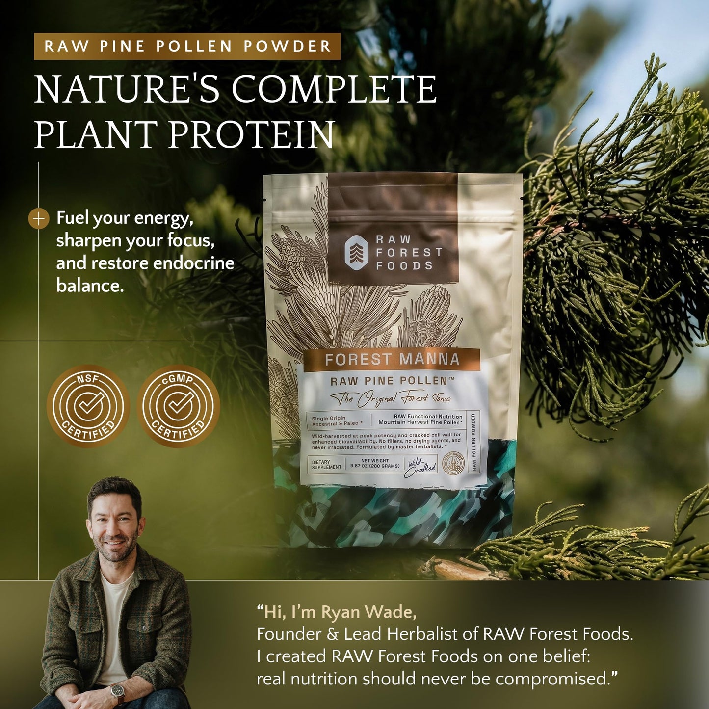 RAW Forest Foods Pine Pollen Powder 9.97 Ounce