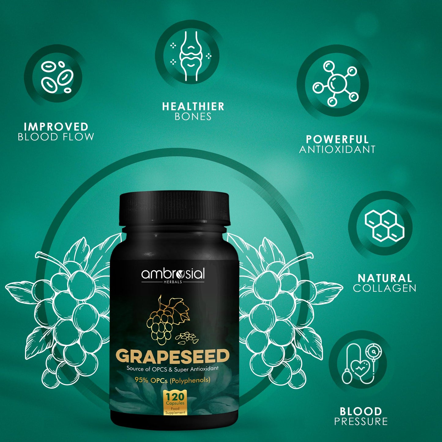 AMBROSIAL Grapeseed Capsules, 120 Count