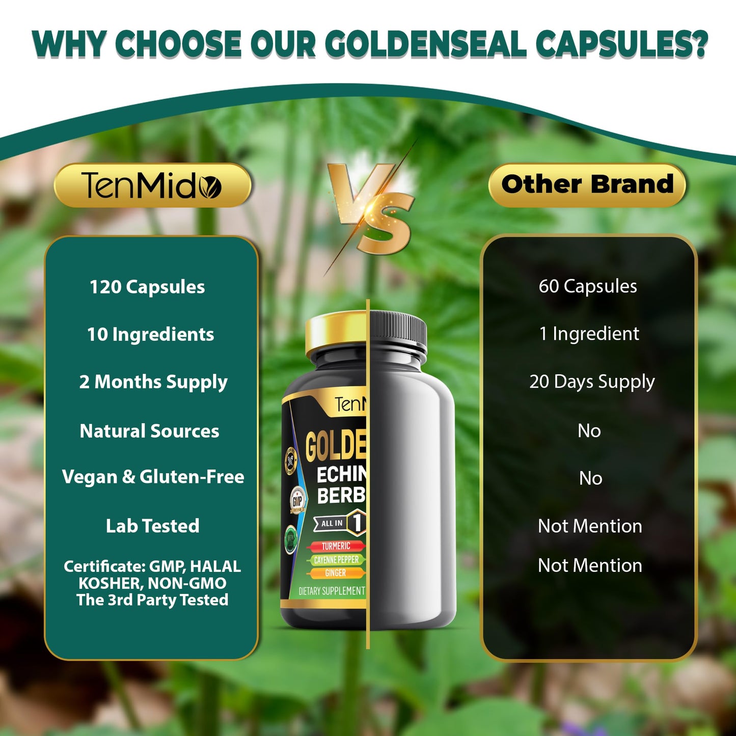Tenmido Goldenseal Root Supplement 10in1 Formula Capsules 120 Count