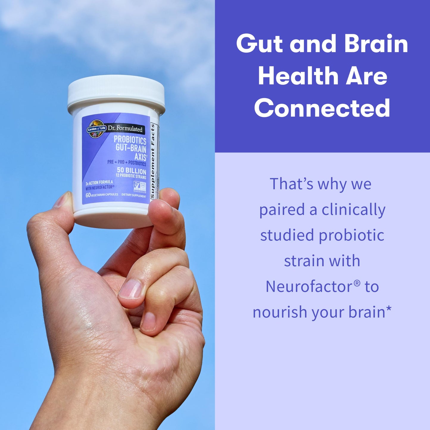 Garden of Life Dr. Formulated Gut Brain Axis Probiotic, 60 Capsules