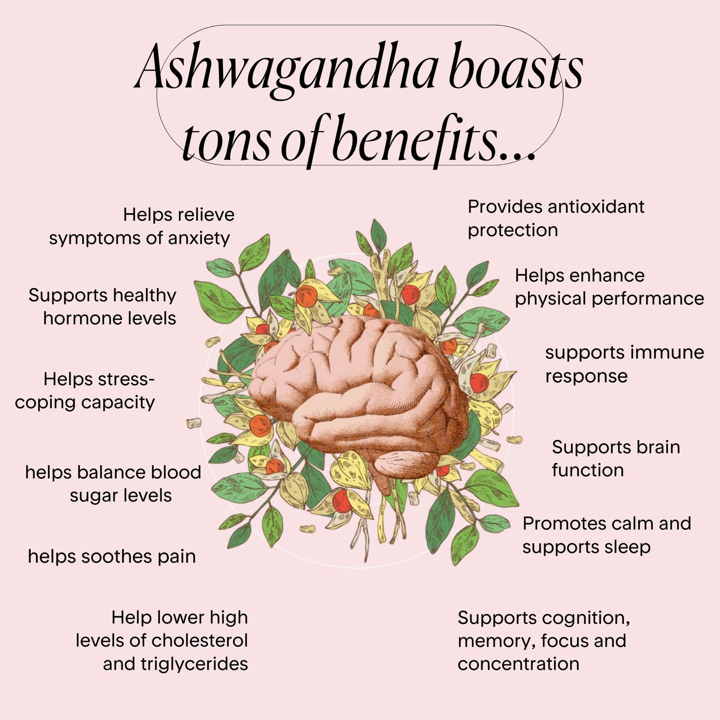 Goodness Lover Ashwagandha Stress and Sleep Support 60 Capsules