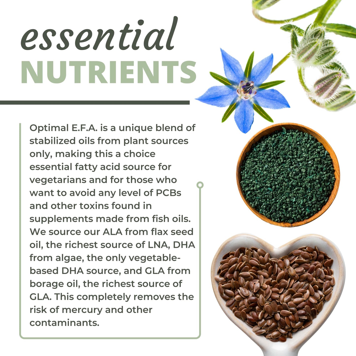 Optimal Health Systems EFA 1,000 mg from Borage, Flaxseed, and Algae Oil Plant-Based Essential Fatty Acid Supplement, 60 Capsules