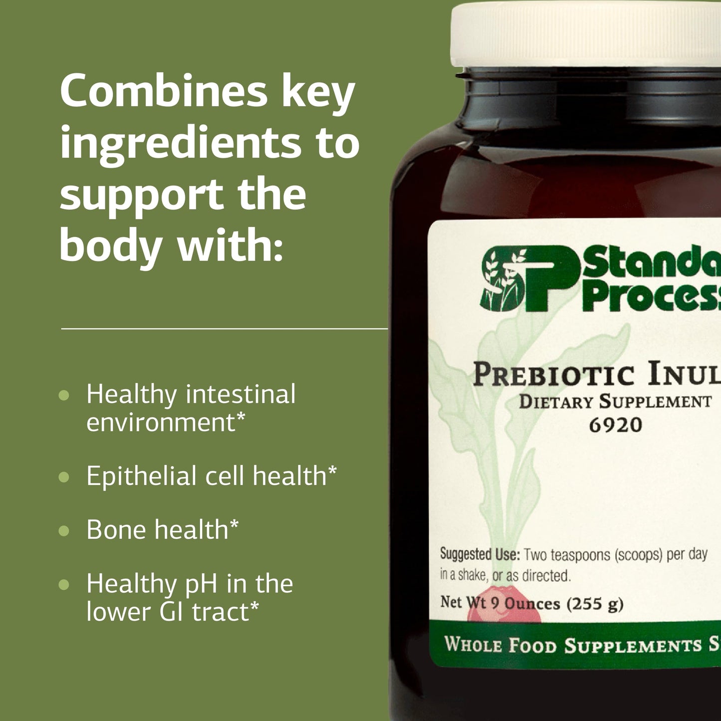 Standard Process Inc. Prebiotic Inulin Powder, 9 oz
