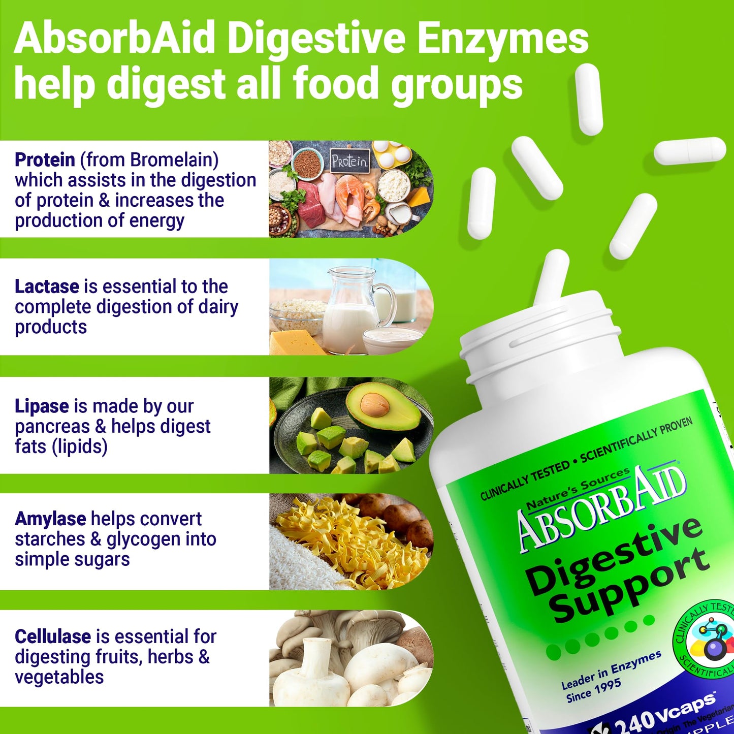 AbsorbAid Original Formula Digestive Support Enzyme Supplement Capsule 240 Capsules