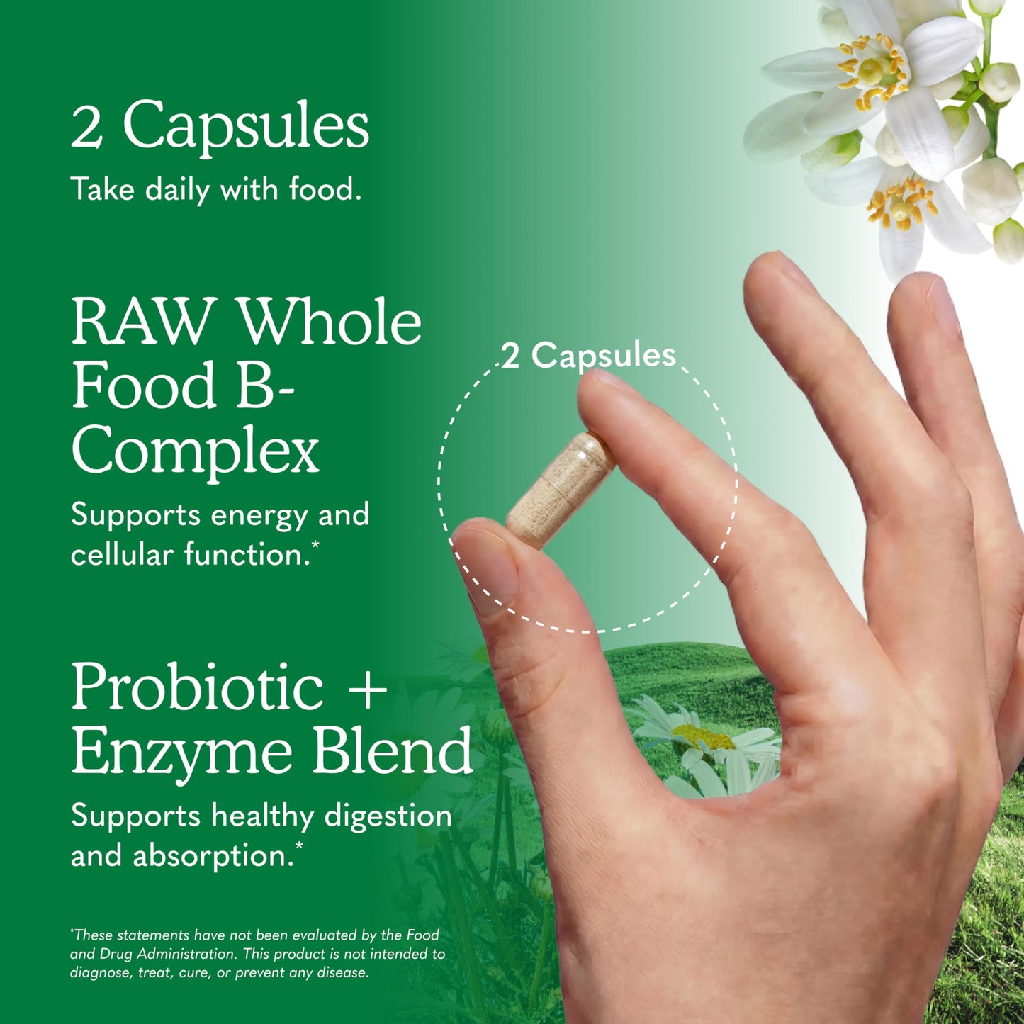 Garden of Life Vitamin B Complex Capsule 120 Count