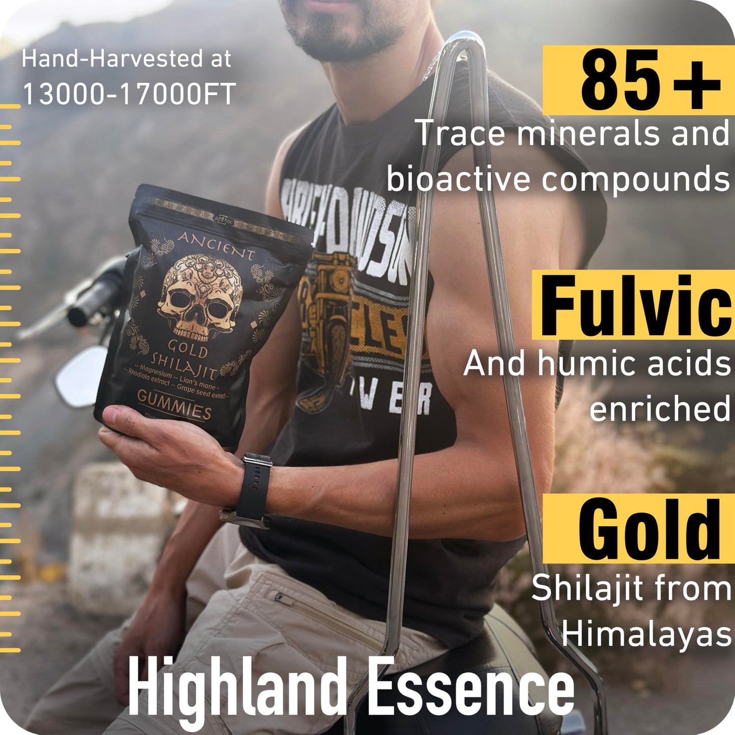ad hoc Shilajit Gummies 1100mg Gold with Magnesium, Lions Mane, Rhodiola, Grape Seed, 85+ Trace Minerals & Fulvic Acid, Himalayan Shilajit for Energy Immune Support, 60 Count