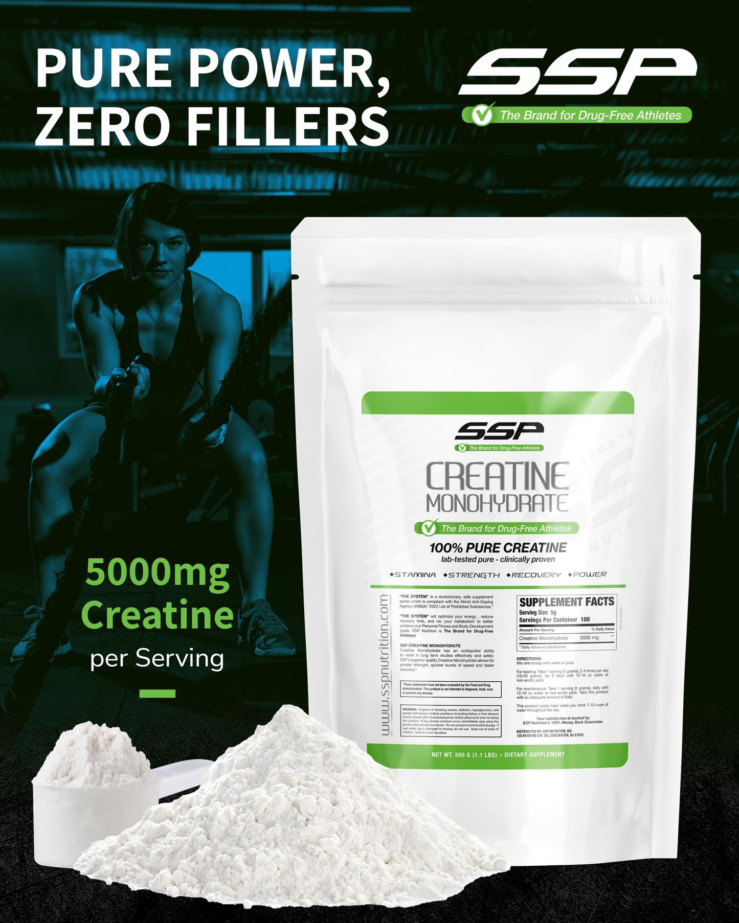 SSP Creatine Monohydrate Powder 17.6 oz