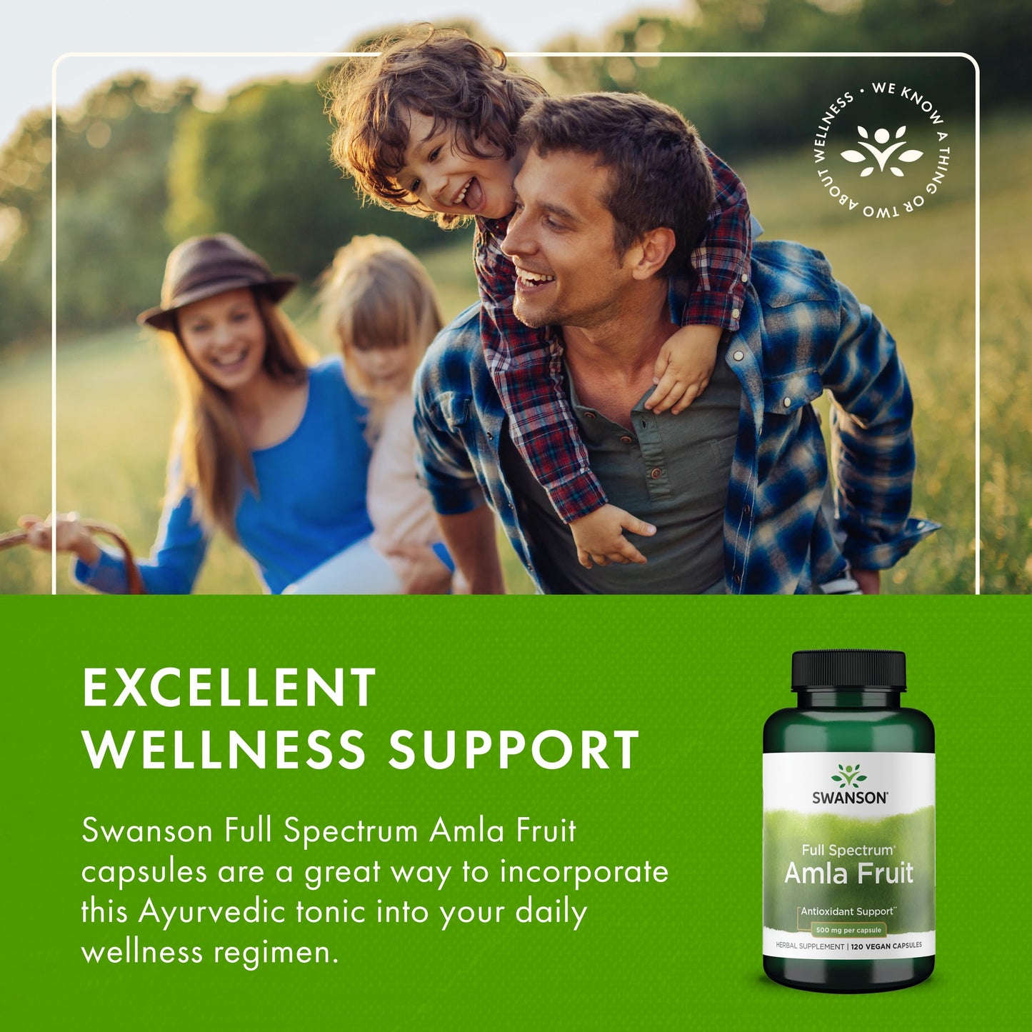 Swanson Full Spectrum Amla Fruit (Indian Gooseberry) Ayurvedic Herbal Supplement 240 Capsules