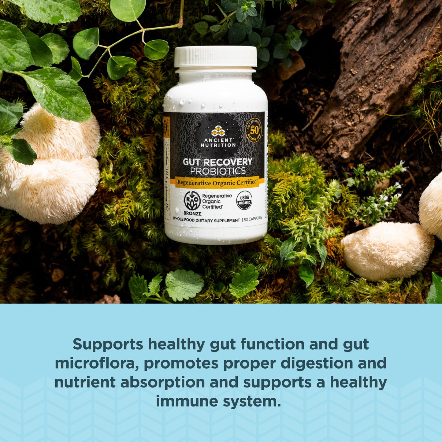 Ancient Nutrition Regenerative Organic Certified Probiotics for Gut Recovery 60 Capsules