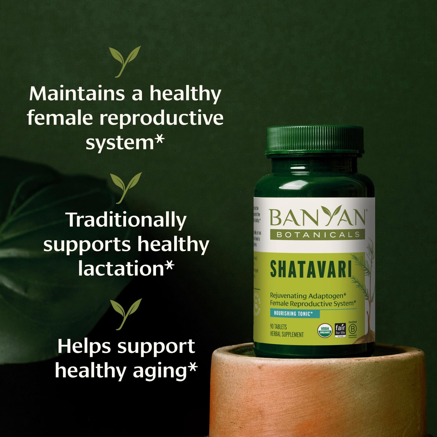 Banyan Botanicals Shatavari Tablets 90 Tablets