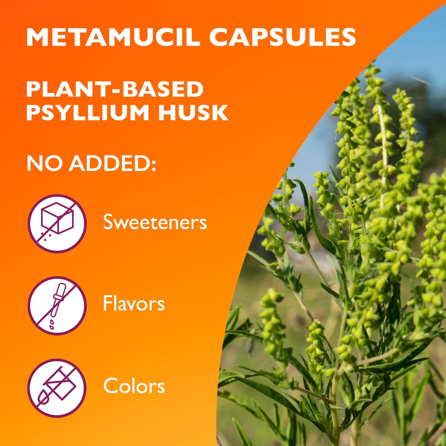Metamucil Psyllium Husk GLP-1 Friendly Fiber Capsules, 300 Capsules