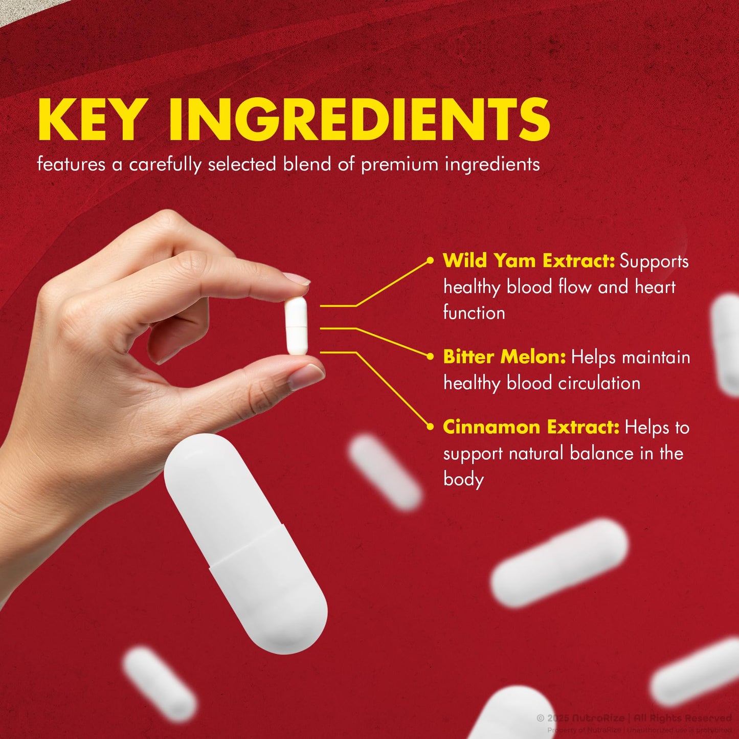 NutraRize GlycoFree Capsules, 300 Capsules